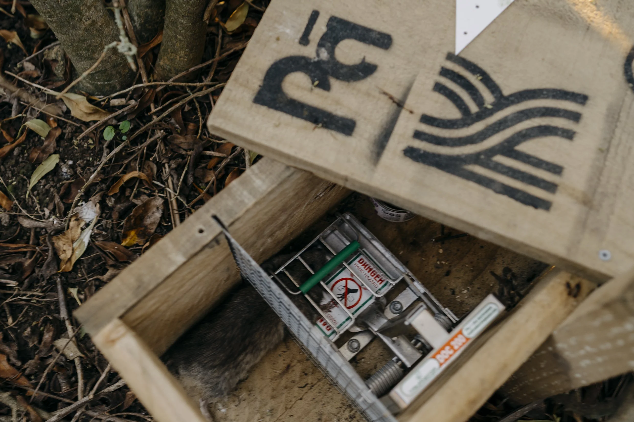 Toward Predator Free Te Karamū   (Predatorfree)
