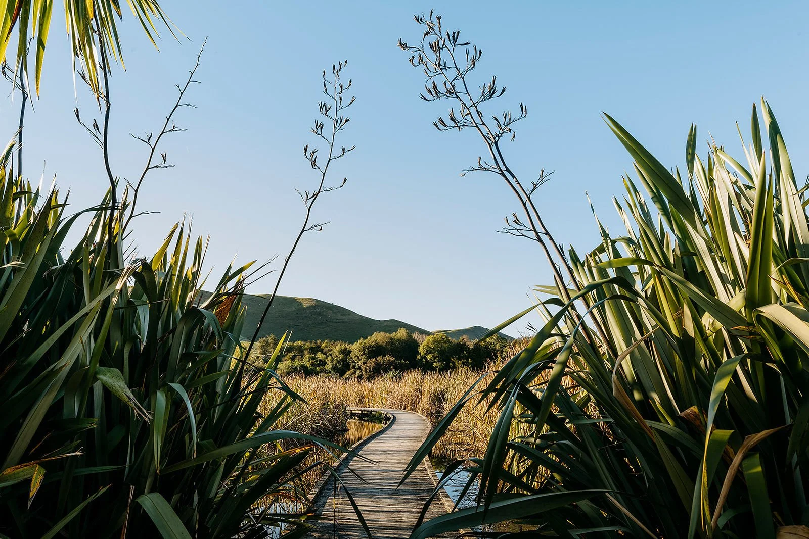 From Orchards to Outcomes (Freshwater)