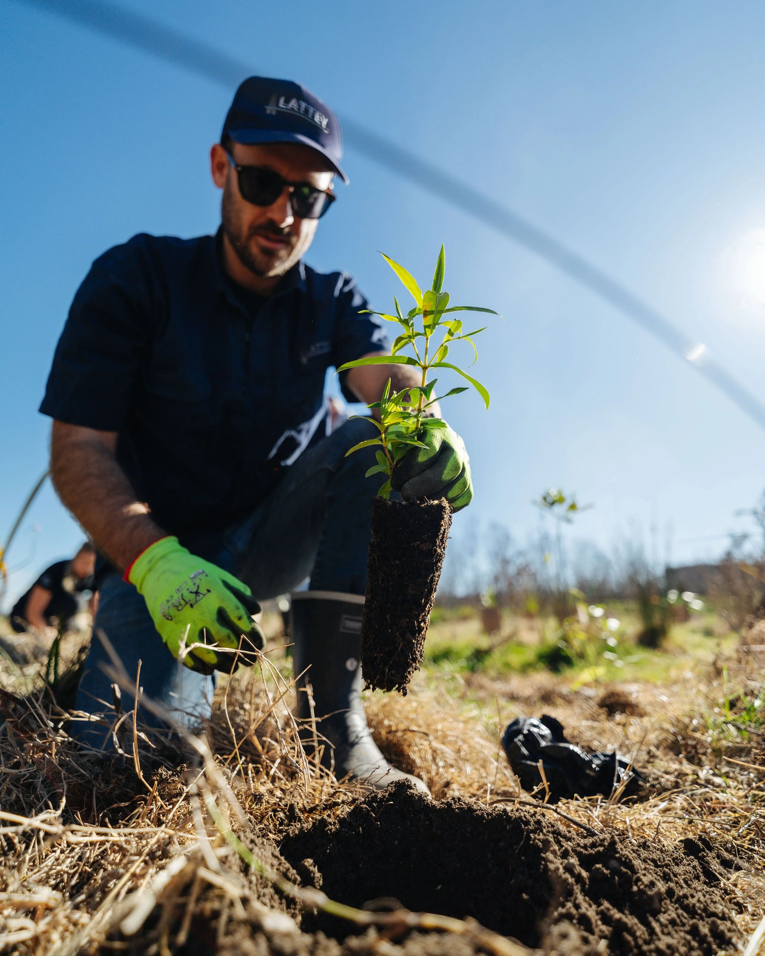 A person planting a seedling in the soil on a sunny day with clear blue sky, wearing sunglasses, a cap, gloves, and dark clothing.