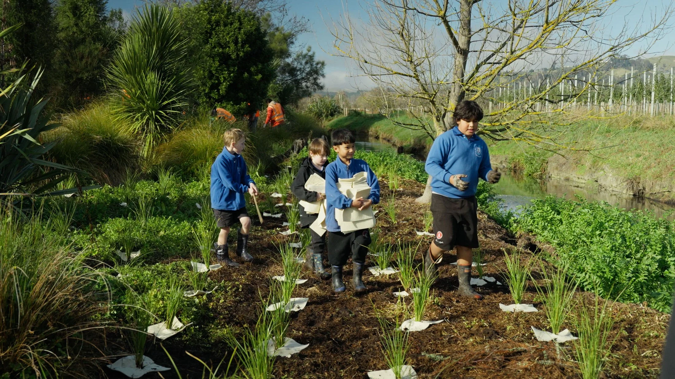 Waipuna Wetland Restoration (Freshwater)