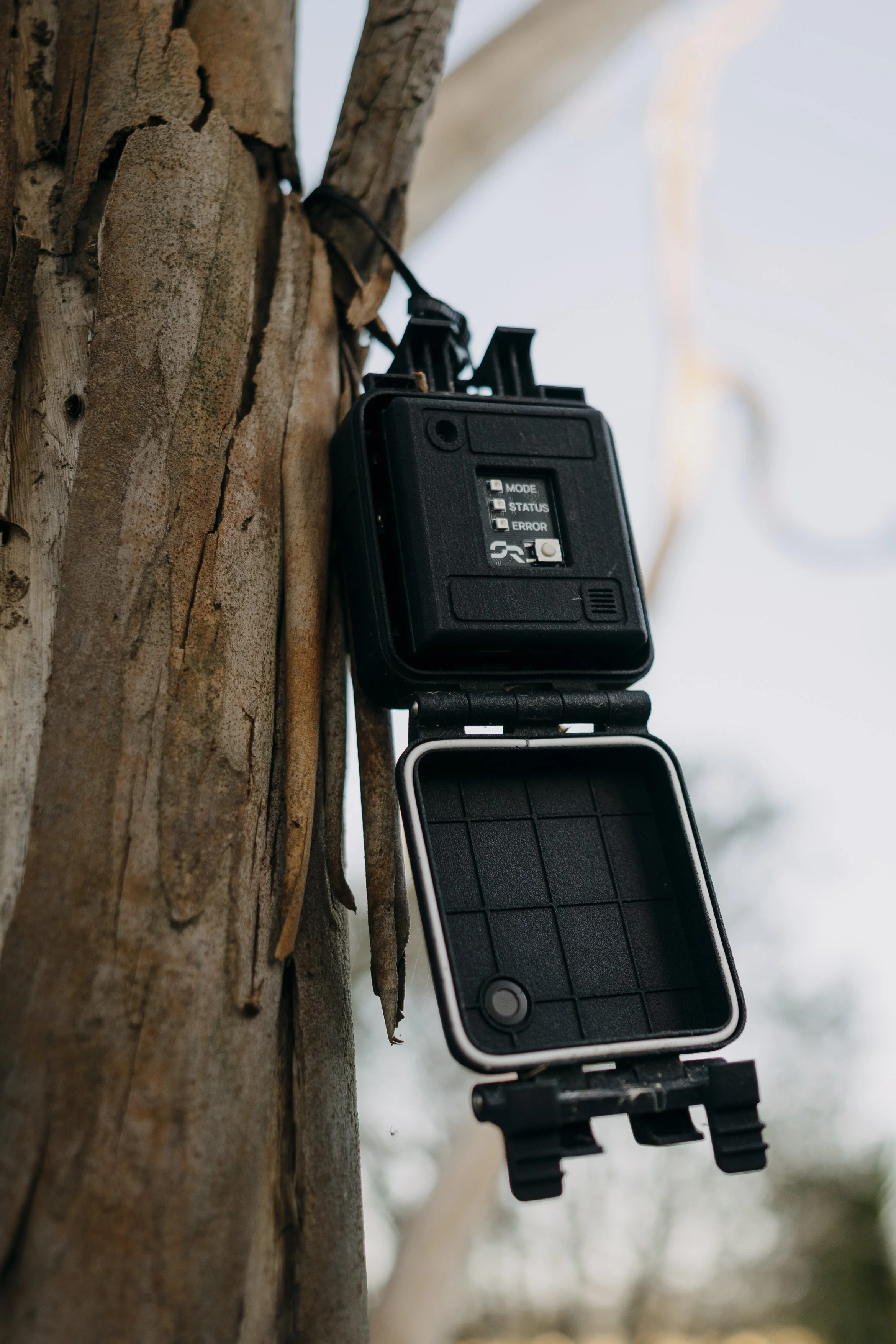 20260821F Bat Detector-5.jpg