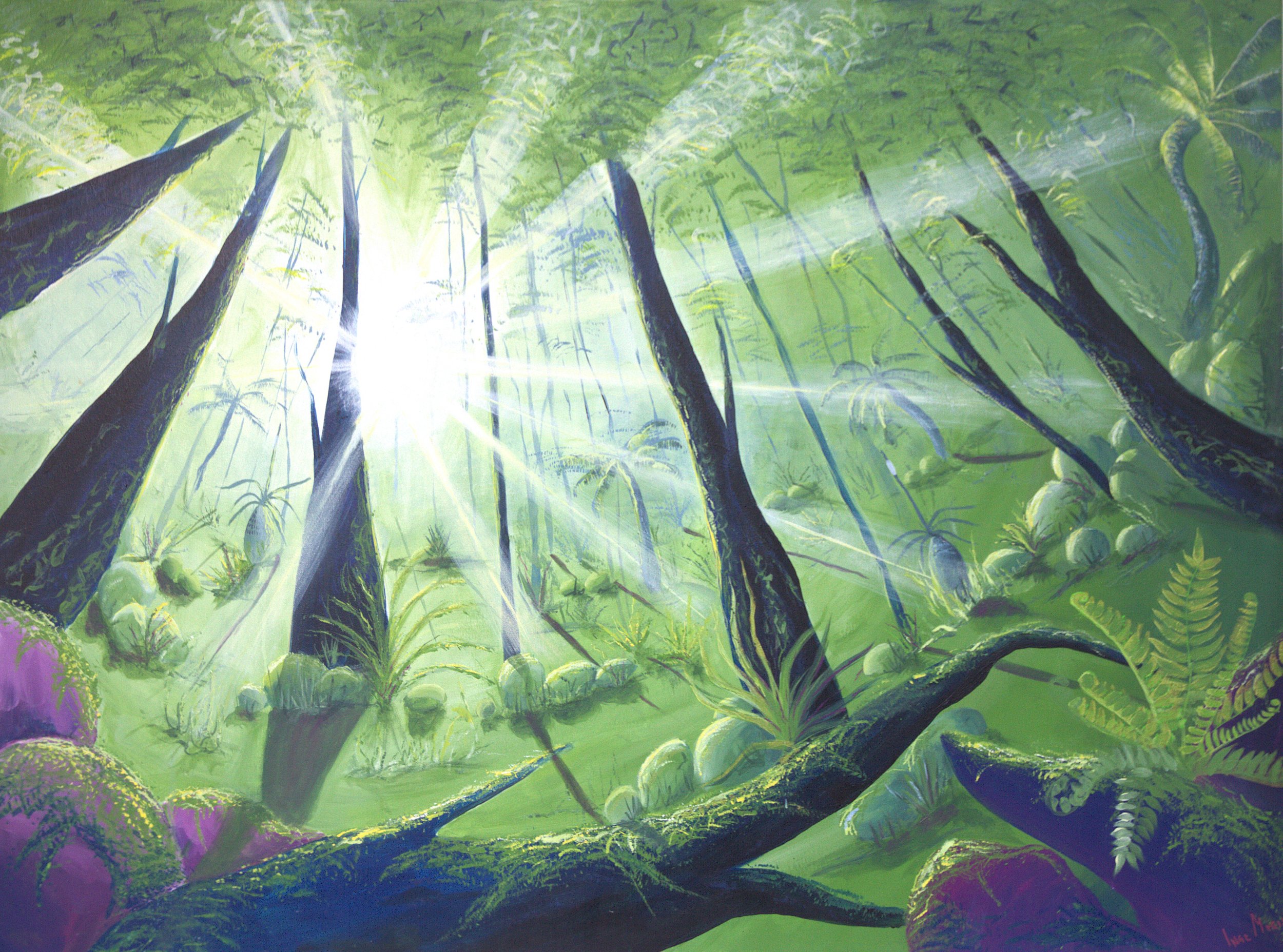 Forest Rays.jpg