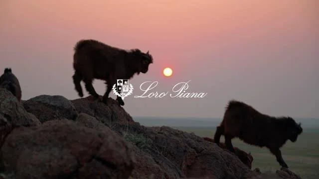Loro Piana x Resilient Threads