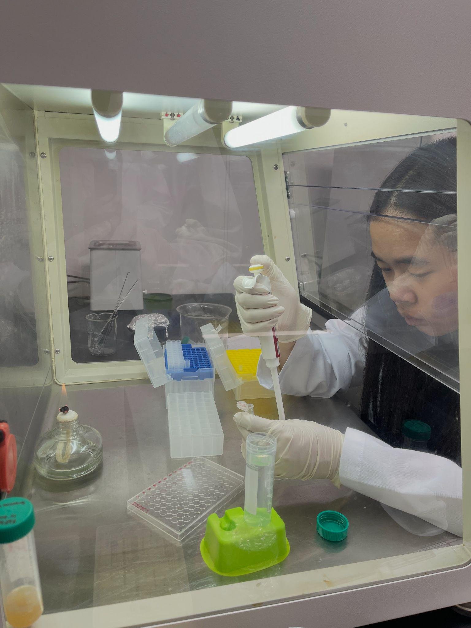 img168.jpg
