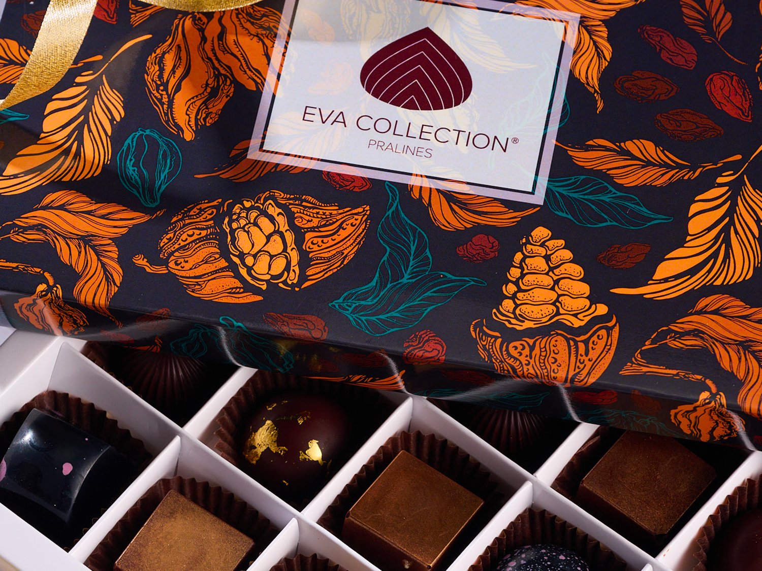 EVA_COLLECTION_7.jpg