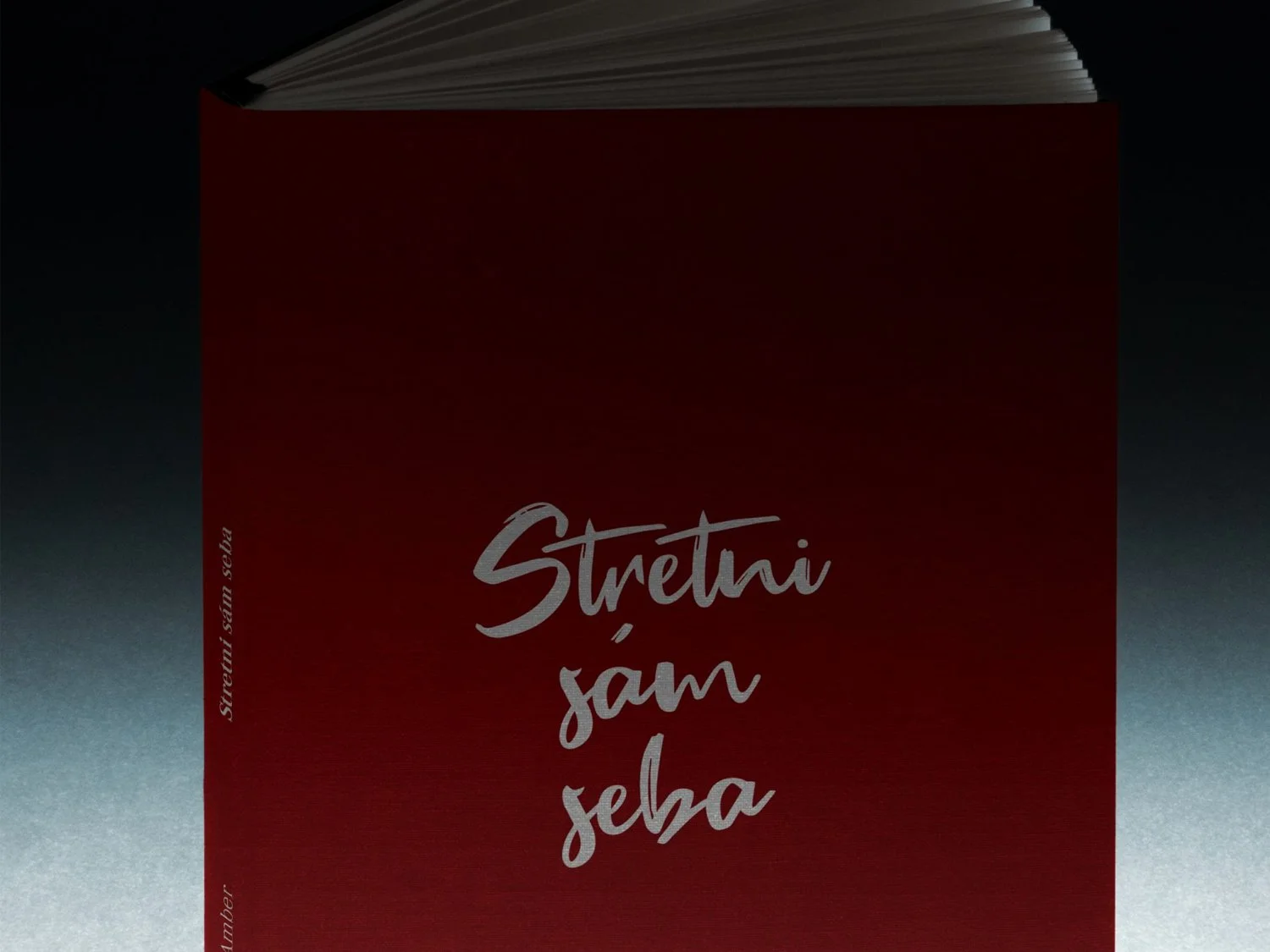 stretni_sam_seba1.jpg