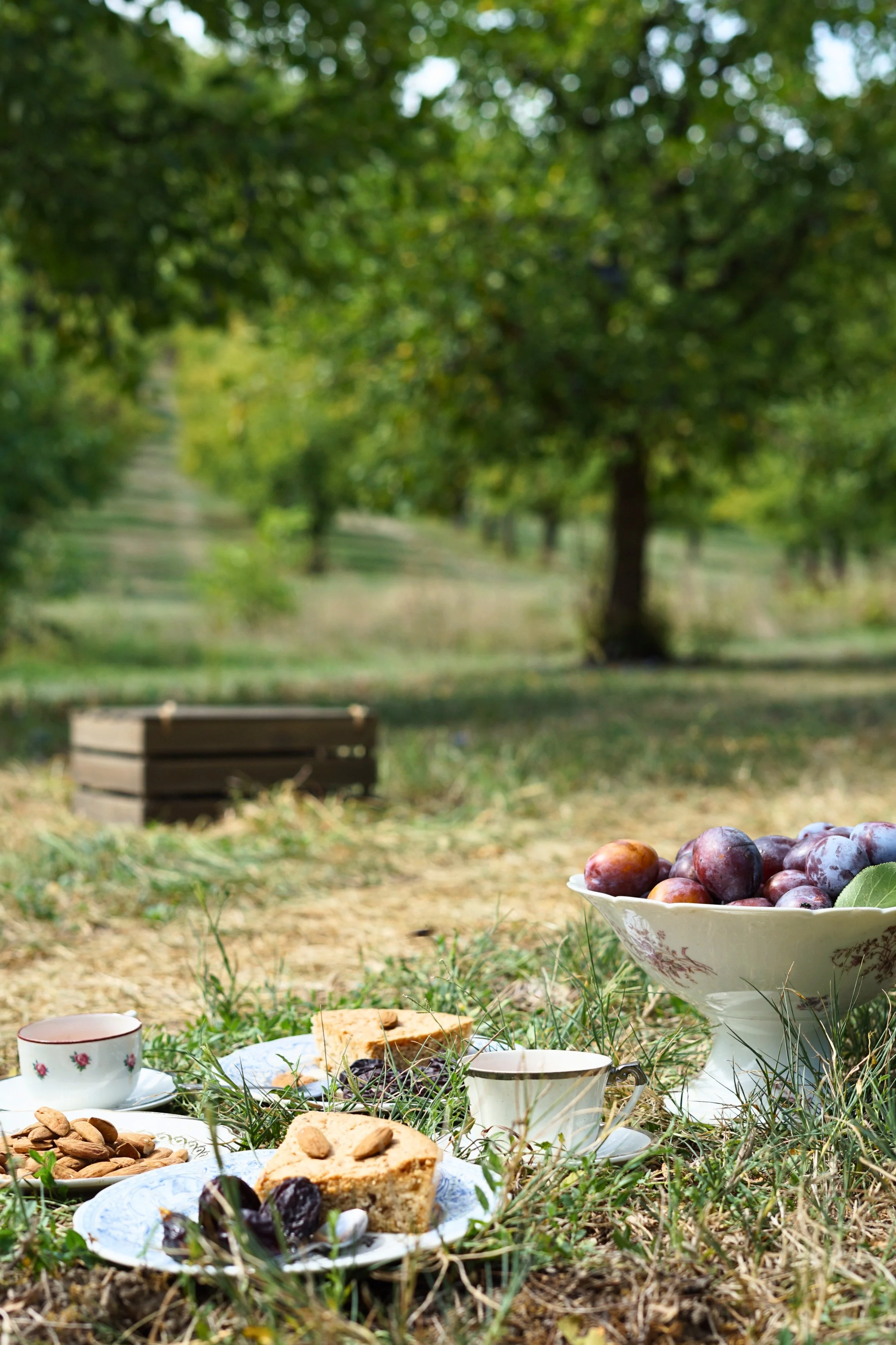 A picnic setup in a grassy area with a bowl of grapes, plates with cake and snacks, teacups, and a cup with a floral design, with trees in the background.