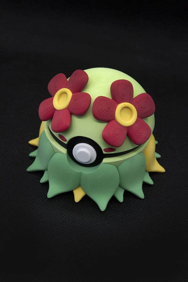 _MG_6831(baja).jpg
