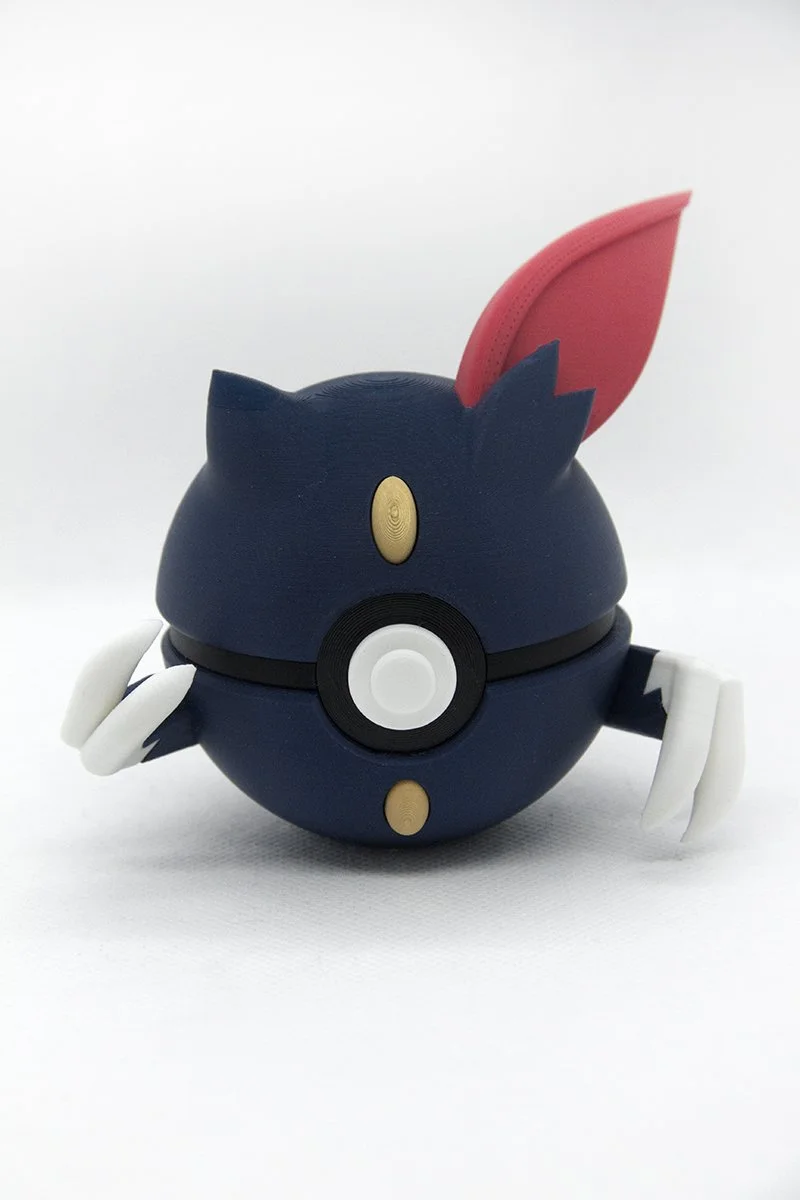 BOLA SNEAS