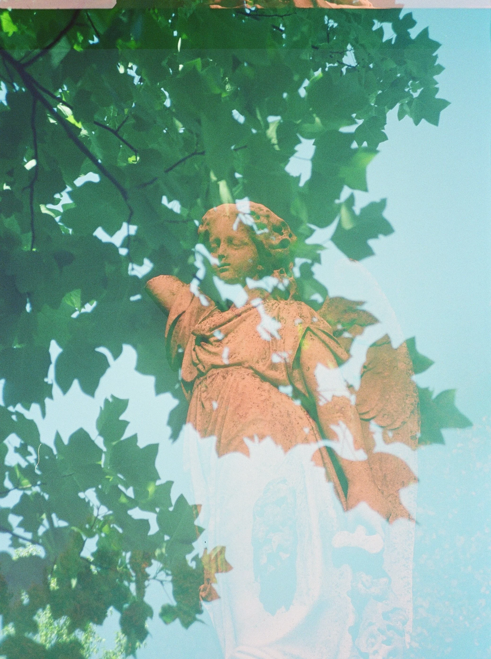 Harriet print 2.jpg