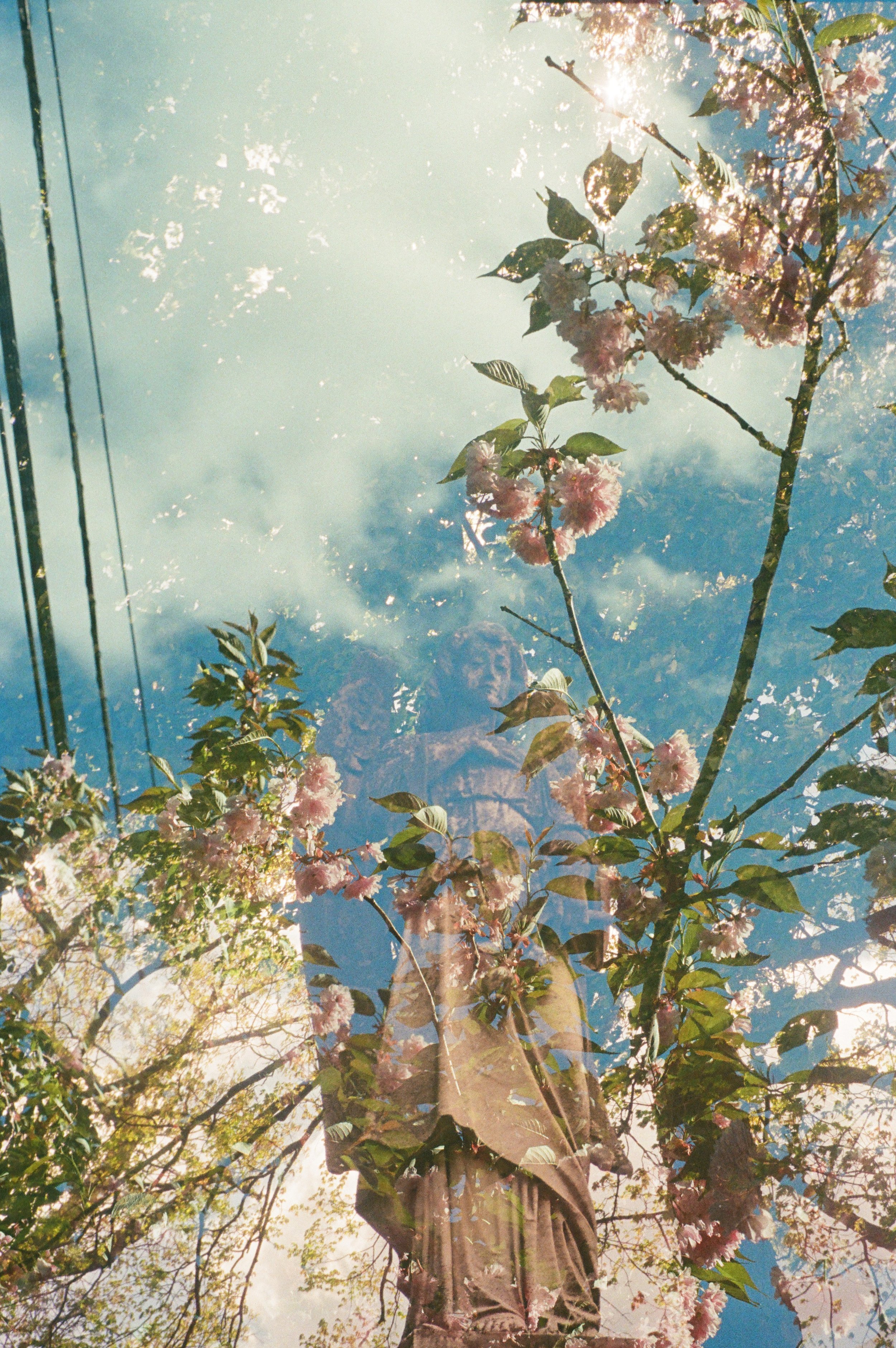 cropped3.jpg