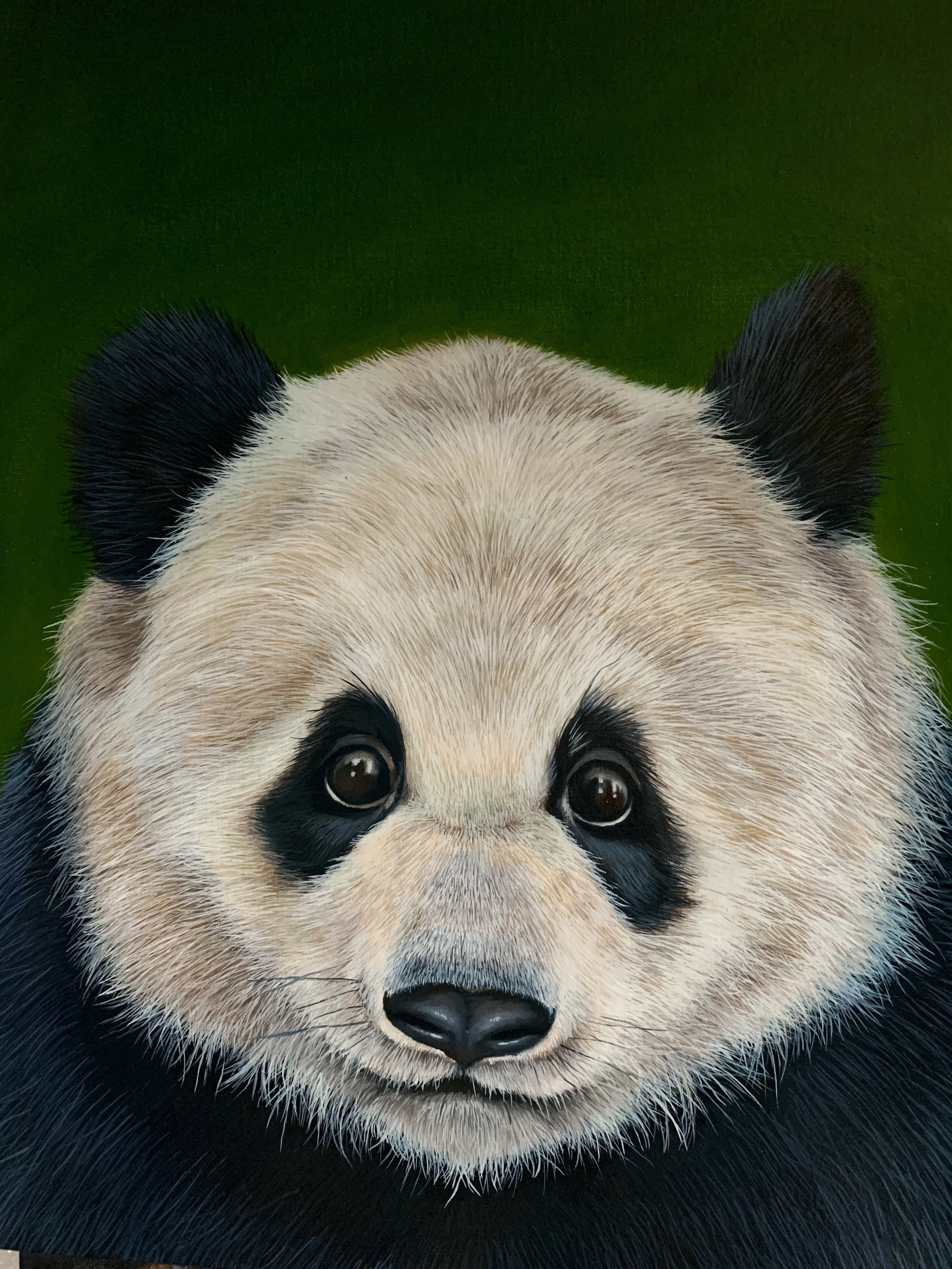 Panda Spirit Original (Prints Available)
