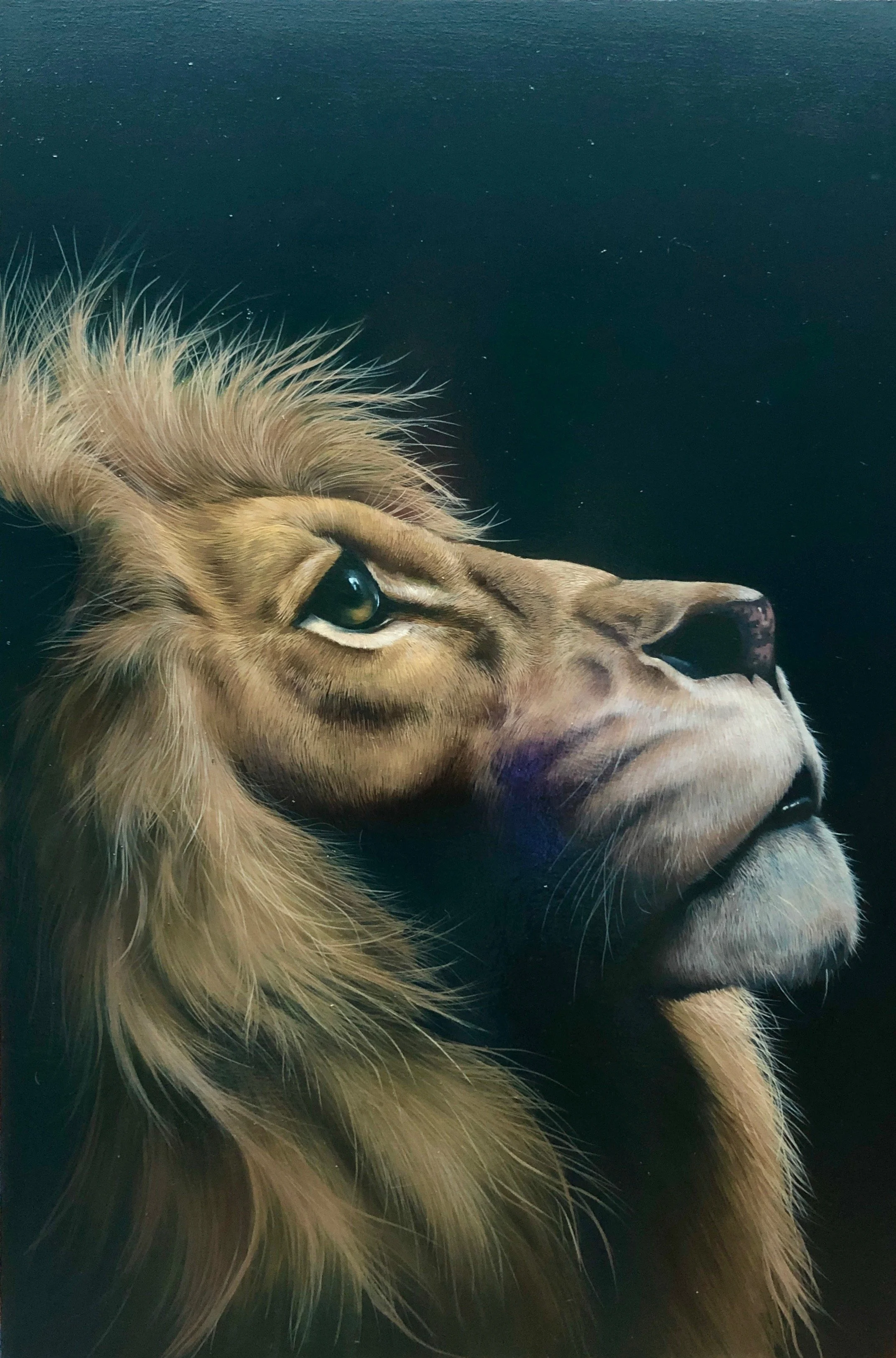 Close-up of a lion's face showing its mane, eye, and part of its nose against a dark background.