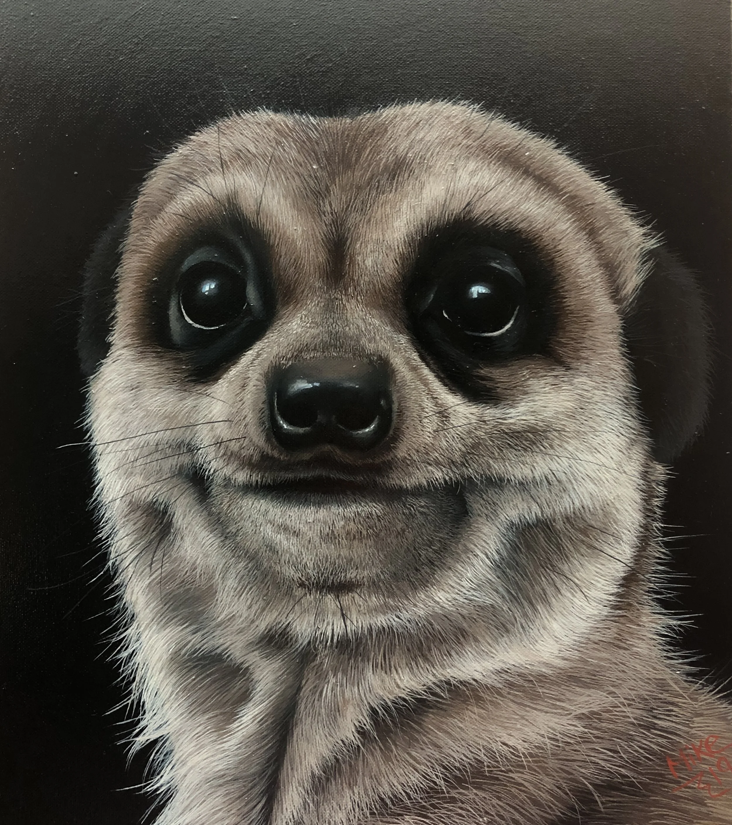 Curious Eyes Print
