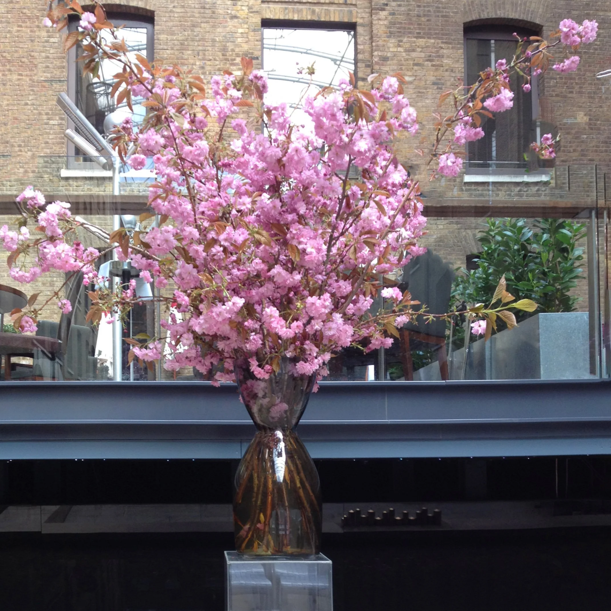 Pink cherry blossoms in a glass vase on a black surface with a brick building background.