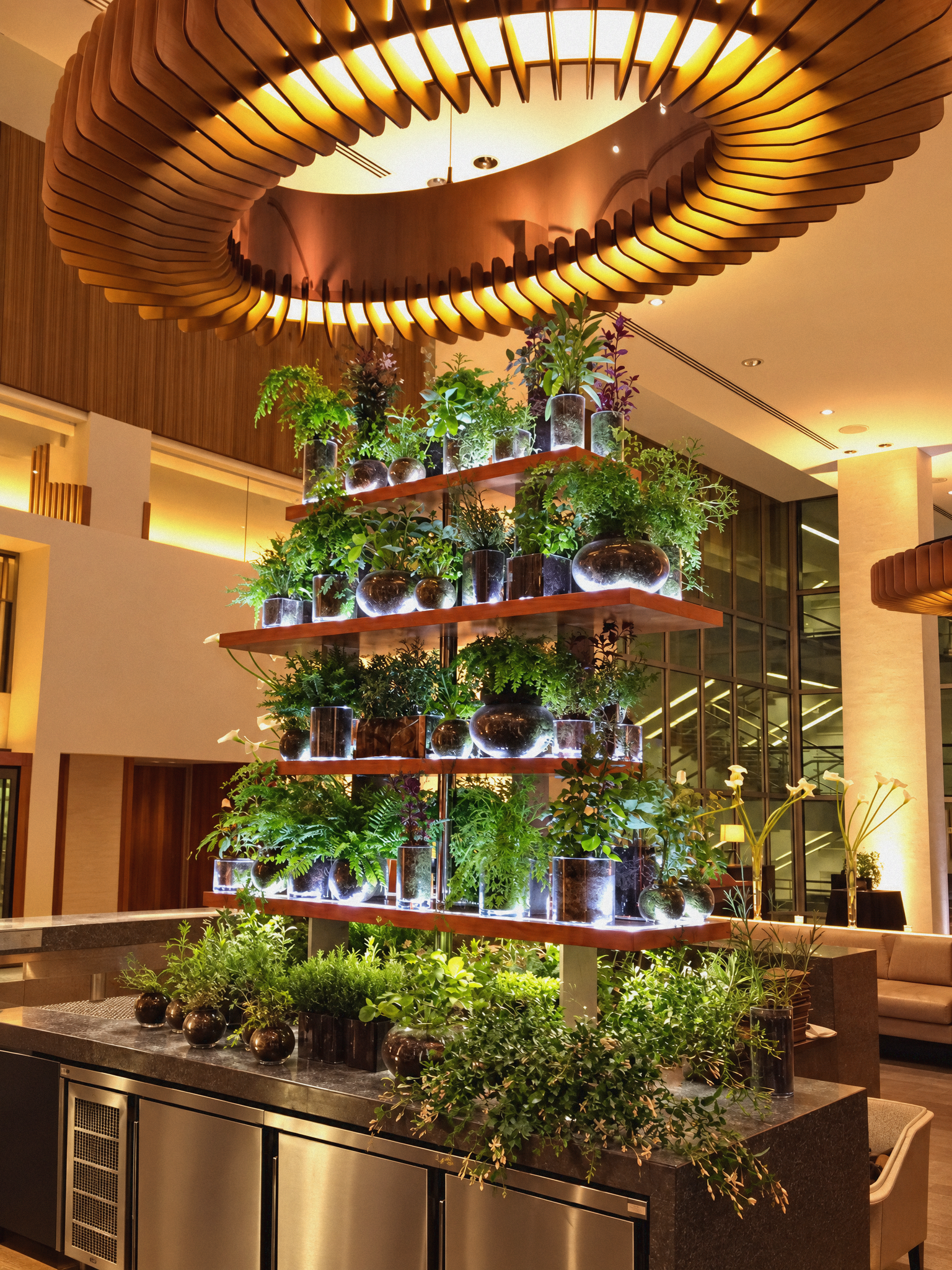 A modern indoor space featuring a large, illuminated, circular wooden chandelier hanging from the ceiling, with a display of green plants and vases on tiered wooden shelves, and a granite counter with a row of dark decorative vases in the foreground.