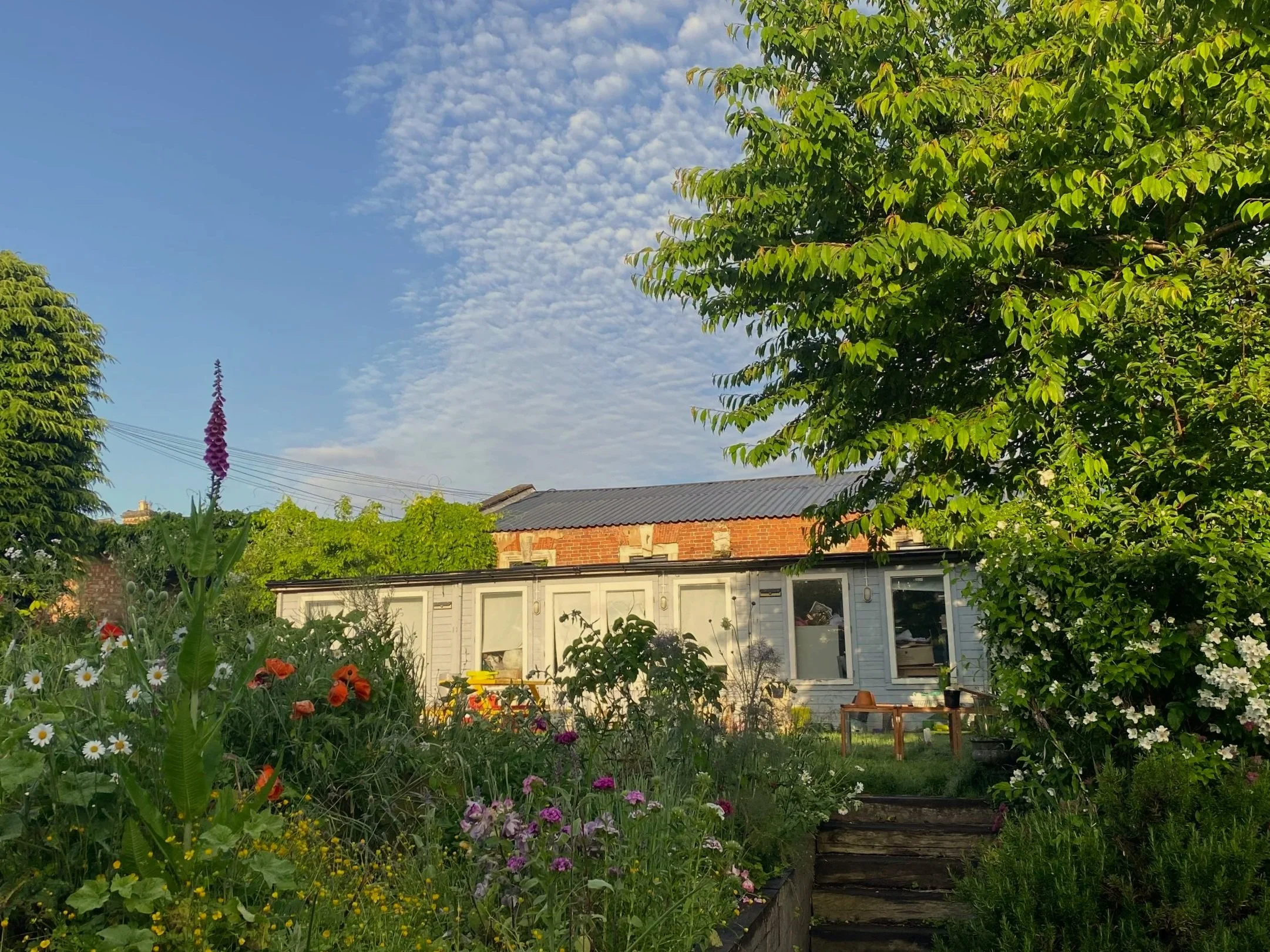 A garden scene with colorful flowers in the foreground, a white house with large windows behind it, green trees, and a blue sky with clouds above.