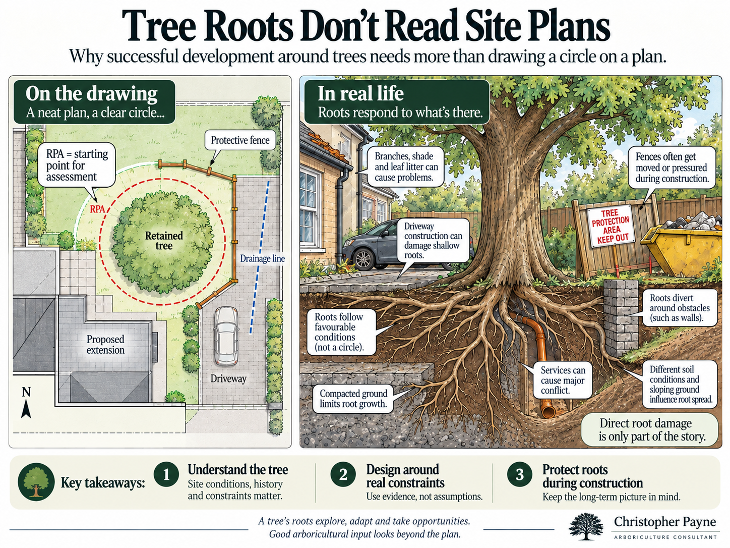 An infographic titled 'Tree Roots Don’t Read Site Plans' showing a comparison of a tree's root system in real life and on a drawing. The drawing side features a neat plan with a retained tree, protective fence, proposed extension, and driveway. The r