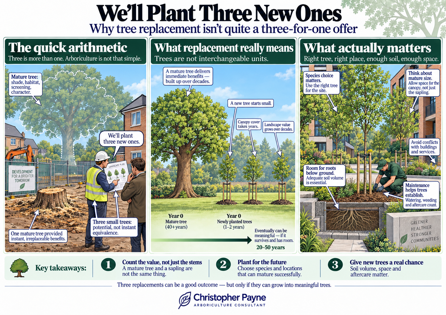 An infographic explaining the importance of planting three new trees instead of replacing one mature tree. It highlights the benefits of mature trees, the meanings of tree replacement, and key considerations for successful planting, such as species c