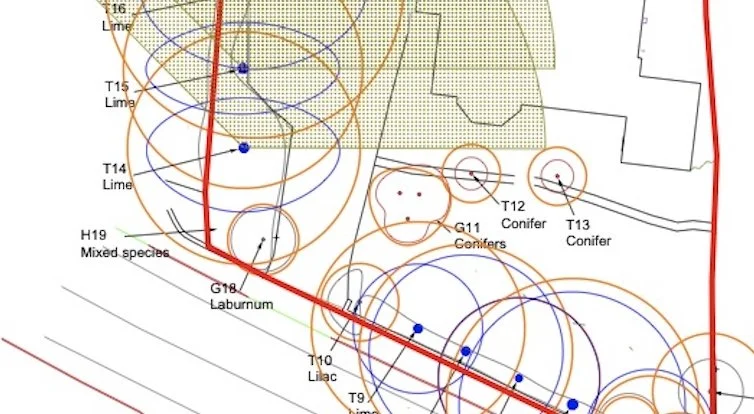A detailed map showing the locations and circle radii for various tree species, including conifers and mixed species, with grid labels and boundaries.