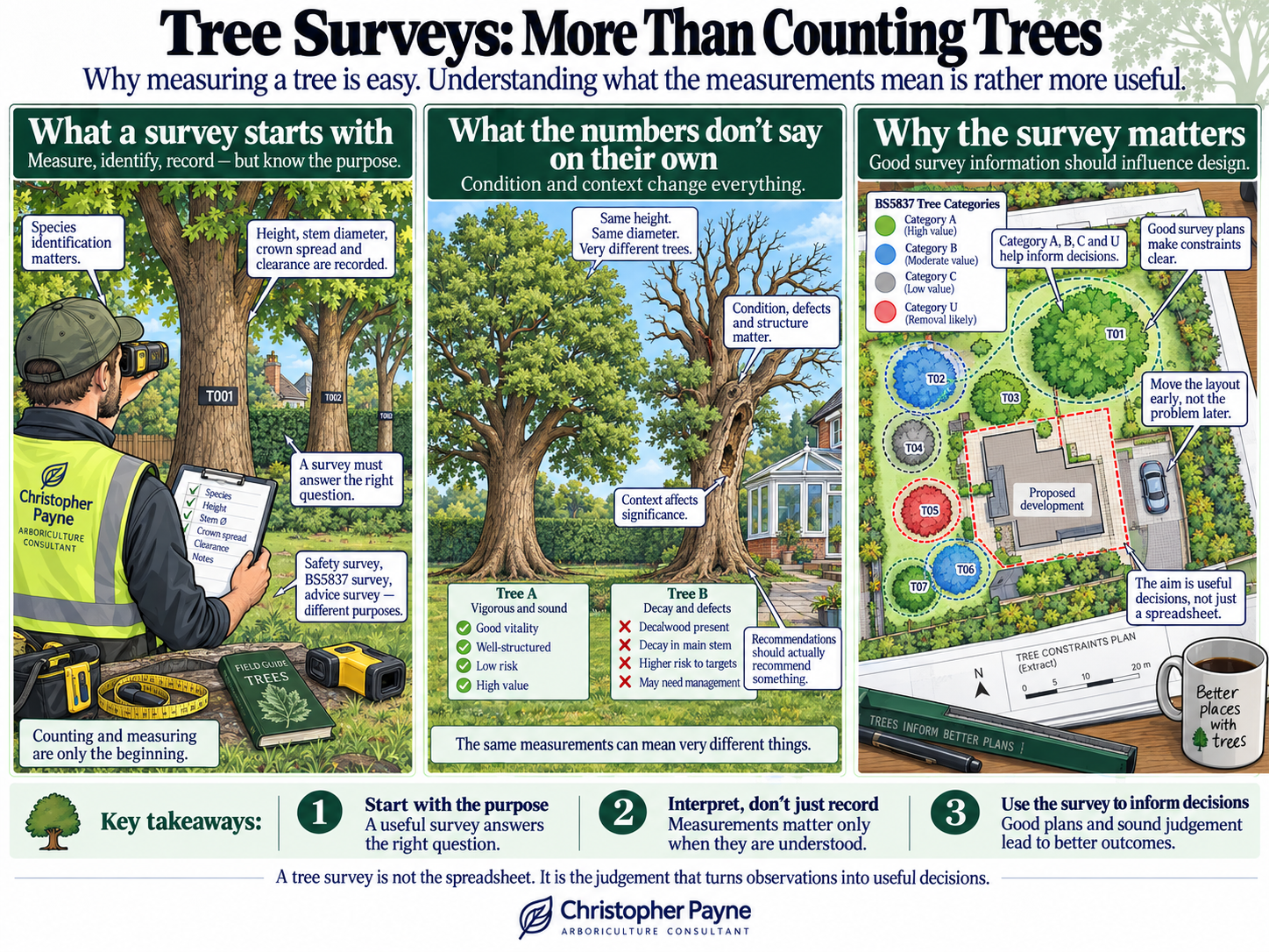 A detailed infographic titled 'Tree Surveys: More Than Counting Trees,' explaining the process and importance of tree surveys. It includes sections on starting a survey with purpose, understanding how numbers don't tell the whole story, and why surve