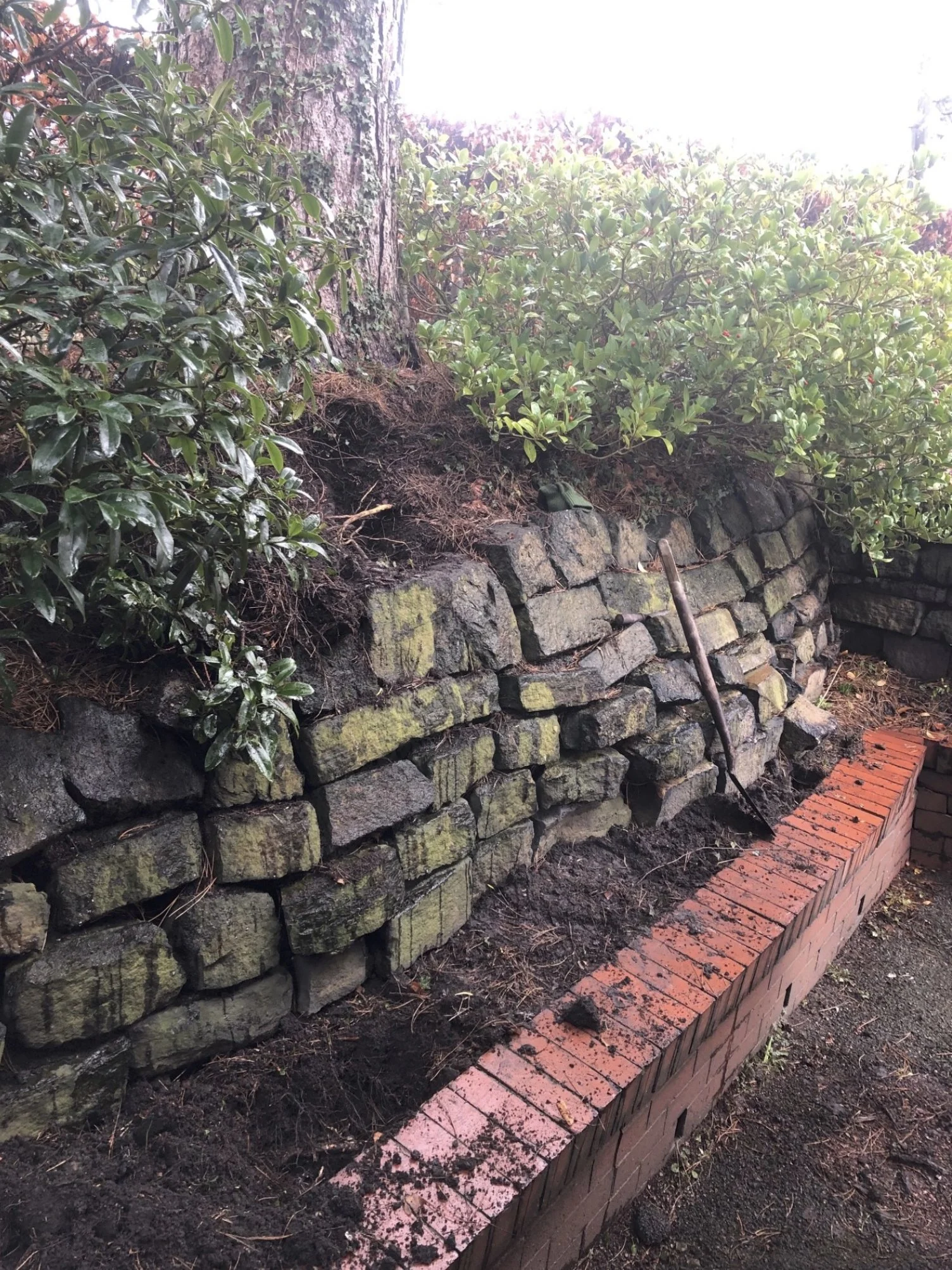 A garden retaining wall made of stacked stones with a brick border, above which there are green bushes and a tree trunk, with sunlight coming from the top right.