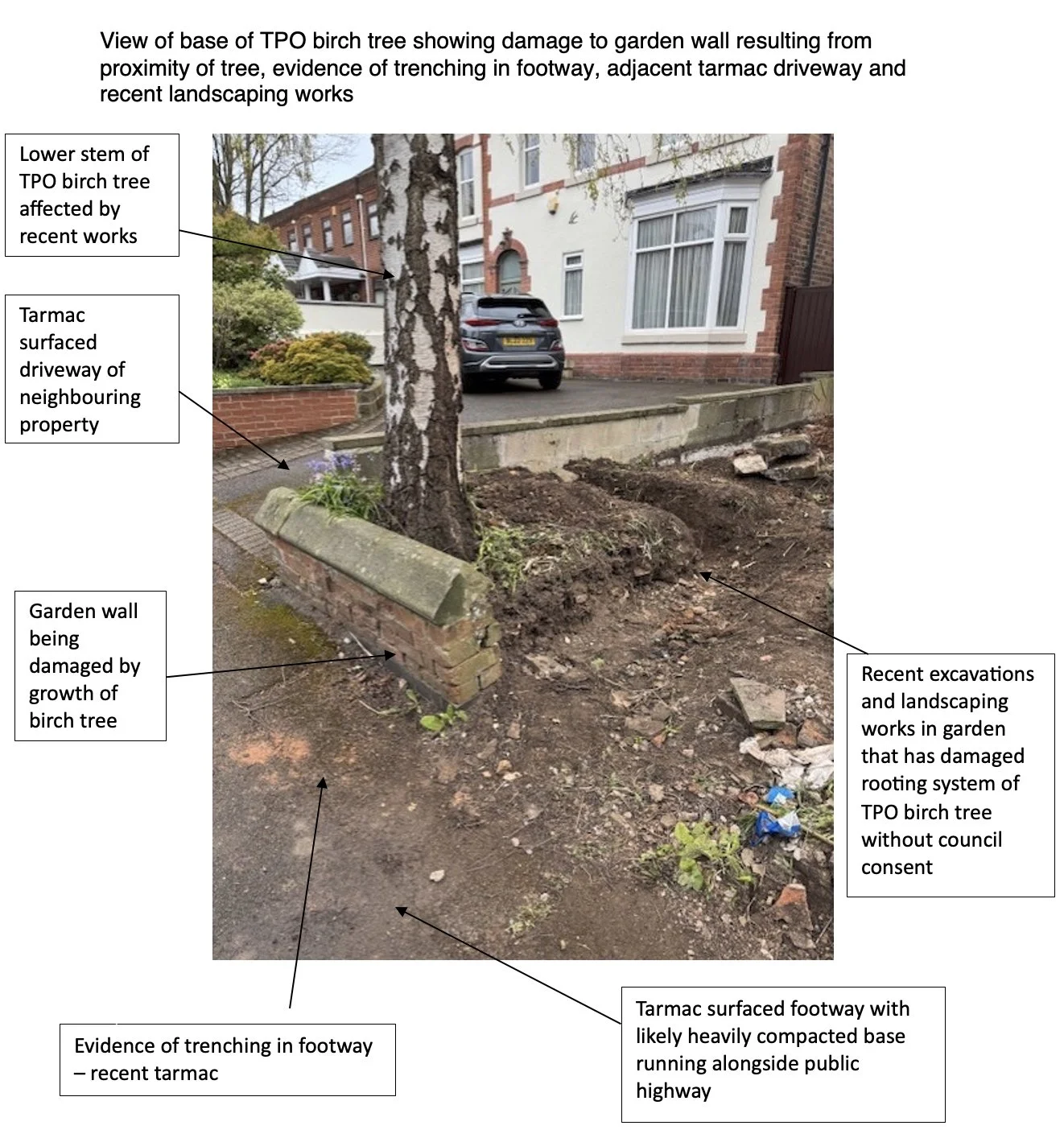 Photo showing damage to a birch tree caused by recent landscaping and excavation works, with evidence of trenching in the footpath, a damaged garden wall, and a tarmac footway with a heavily compacted base running along a public highway.