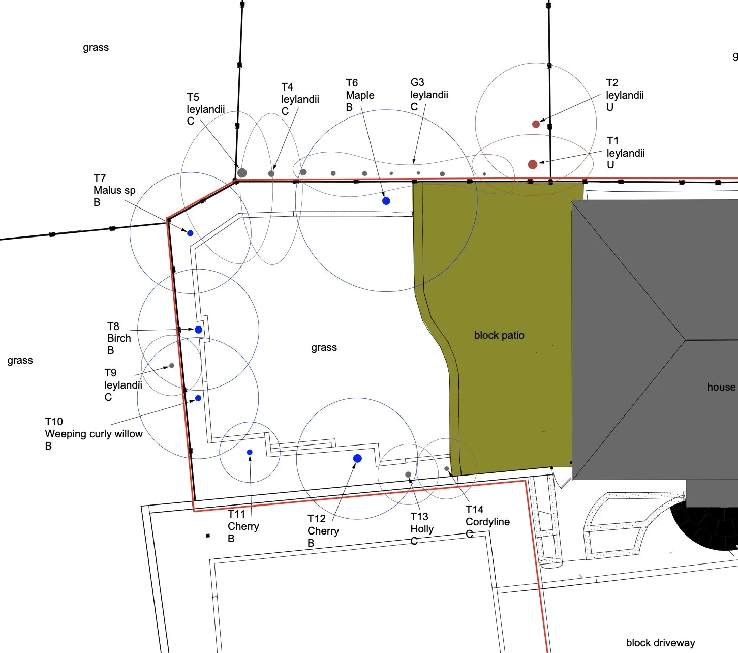 A detailed landscape plan of a backyard showing the layout of various trees, labeled with species such as Cherry, Holly, Cordyline, Weeping Curly Willow, Birch, and others. The plan includes a block patio, grass areas, a house, and a block driveway, with circles indicating the placement and size of the trees, and lines showing pathways and boundaries.