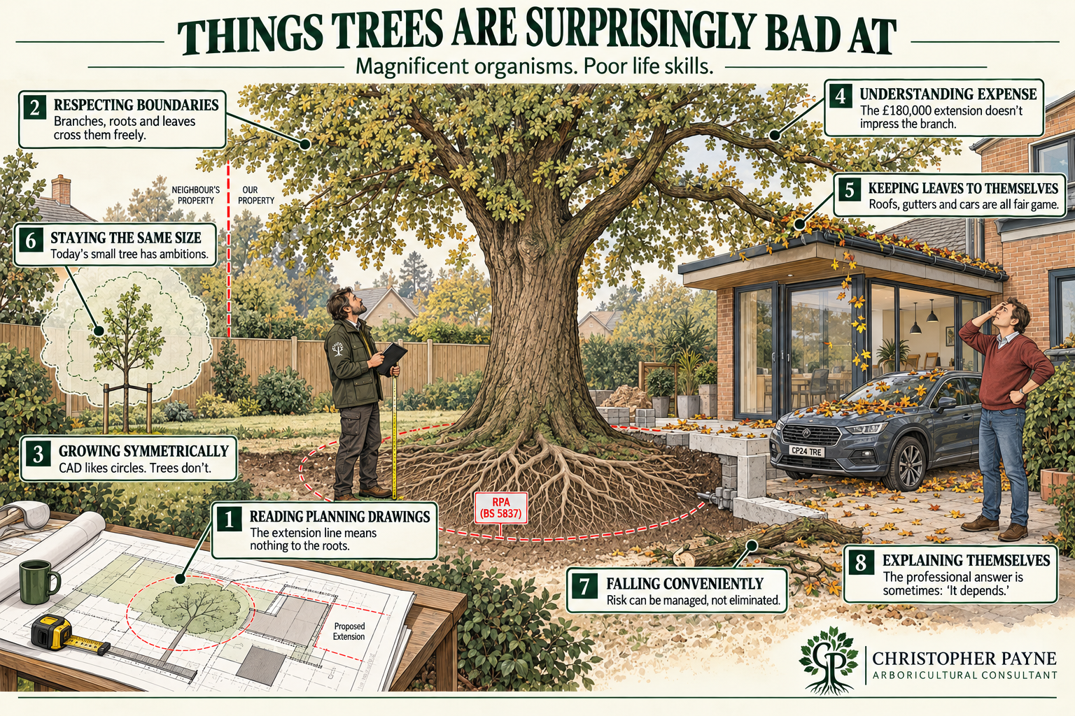 An informational illustration about trees with labels and descriptions. It shows a large tree in a backyard, with two men observing it. The labels highlight points such as respecting boundaries, growing symmetrically, reading planning drawings, under