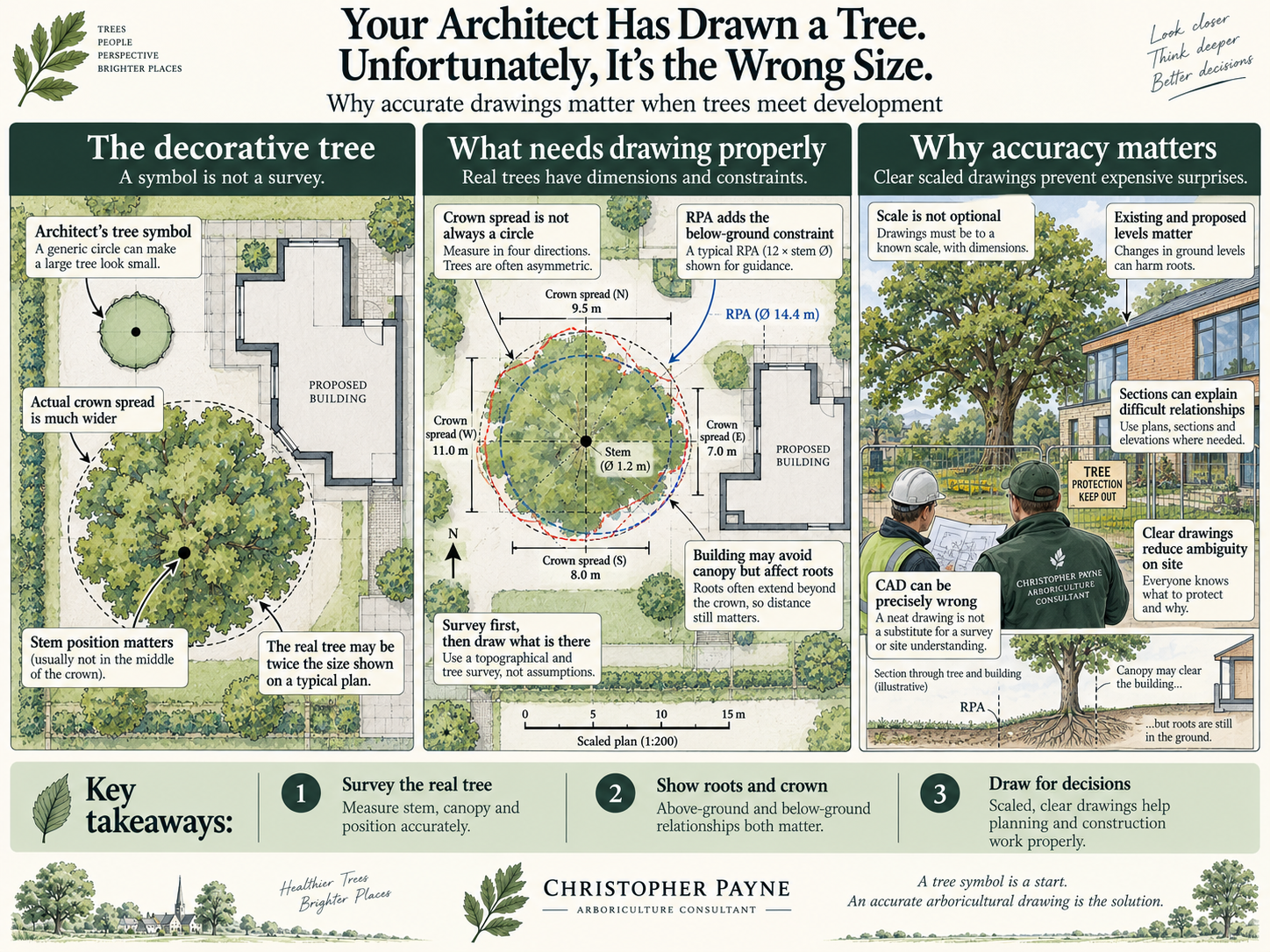 An informational infographic explaining how to correctly draw a tree for architecture and development planning. Contains diagrams of trees with measurements of crown spread and root zones, suggestions for surveying real trees, and the importance of a