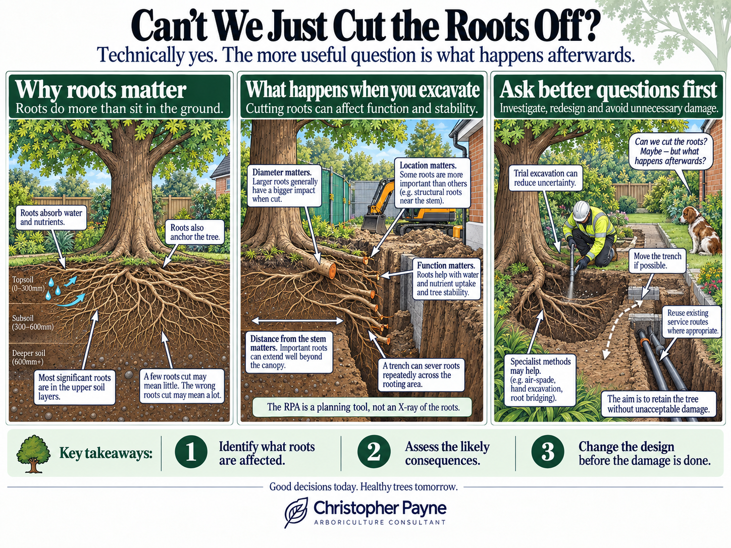 An informational illustration about tree roots and excavation, divided into three sections titled "Why roots matter," "What happens when you excavate," and "Ask better questions first." It includes diagrams of a tree's roots, with labels explaining root functions, impact of cutting roots, and considerations for excavation, along with tips for healthy tree management.