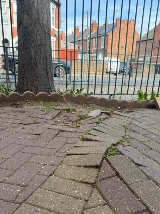 A tree in a small garden area with a curved brick pathway, edged with a decorative border, and a metal fence in the background.