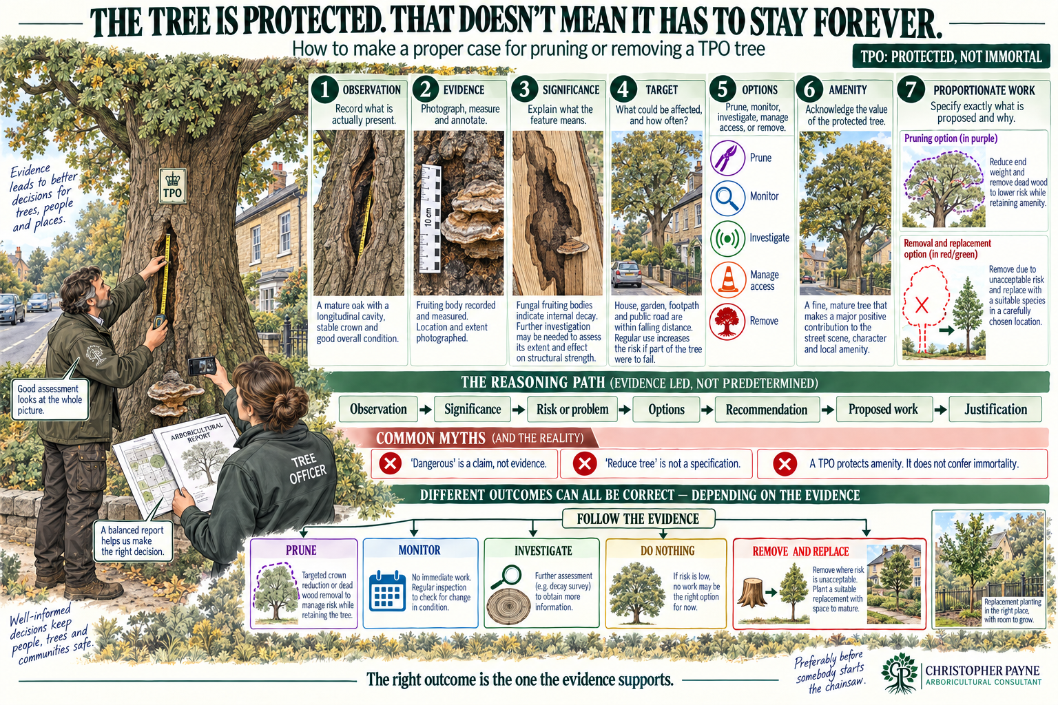 An informational poster about proper tree pruning and removal. It features a large tree being measured and examined by a tree officer and a researcher with a report. The poster includes steps for observation, evidence, significance, target, options, amenity, and proportional work. It also explains the reasoning path: observation, significance, risk or problem, options, recommendation, proposed work, and justification. Common myths about trees are corrected, and the importance of following evidence is highlighted. Visual illustrations include a tree with pruning options, removal, and replacement suggestions.