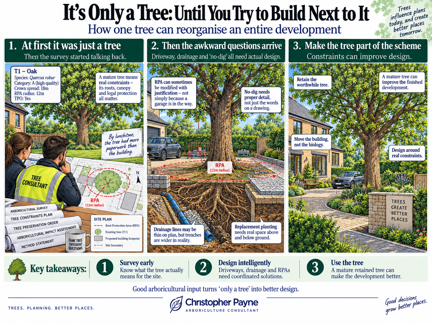 An infographic explaining how a tree can help in urban development planning. It illustrates the process starting from initial tree survey, addressing questions about roots and placement, and designing development around existing constraints to improv