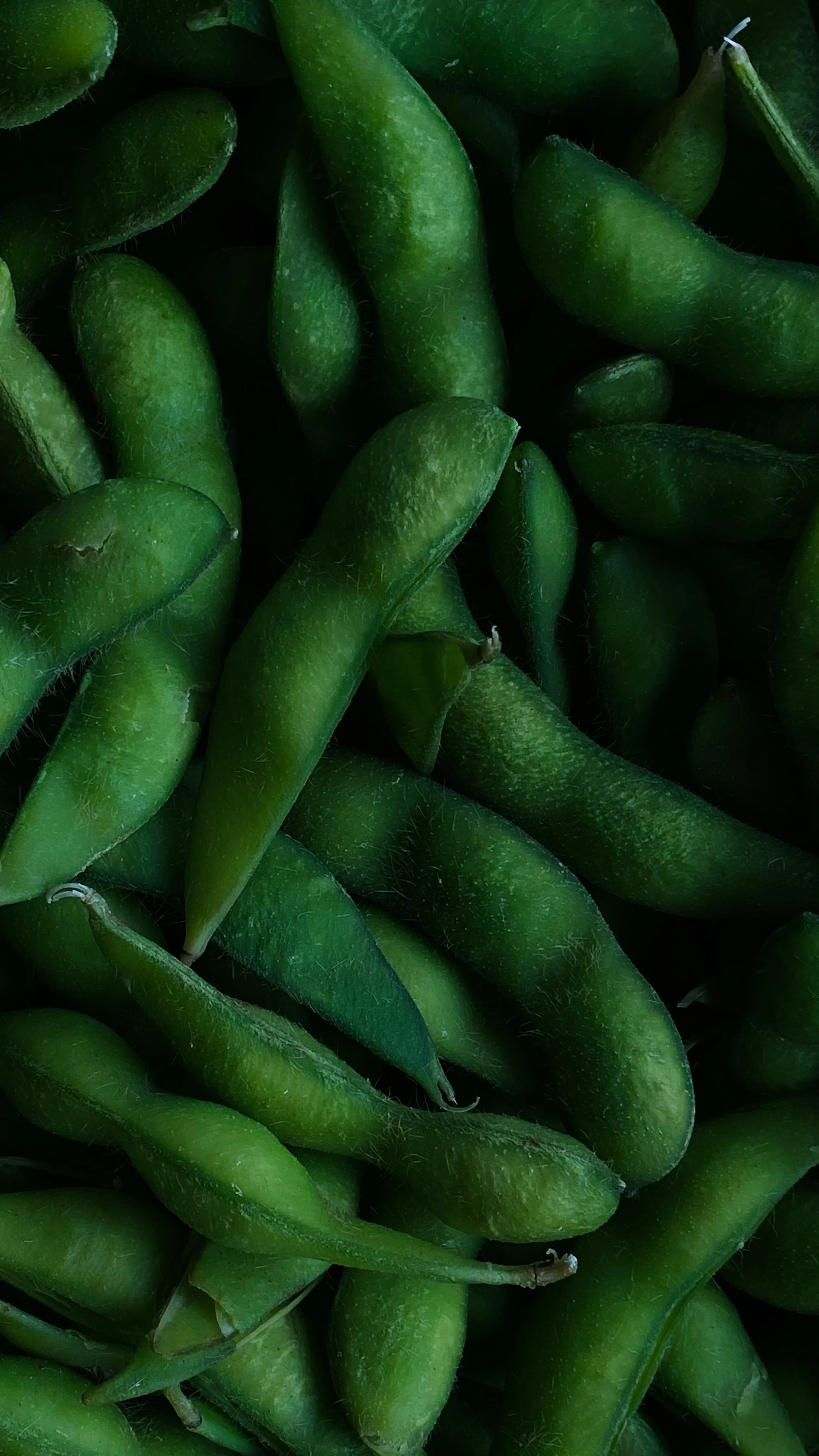 Gros plan de haricots verts frais.