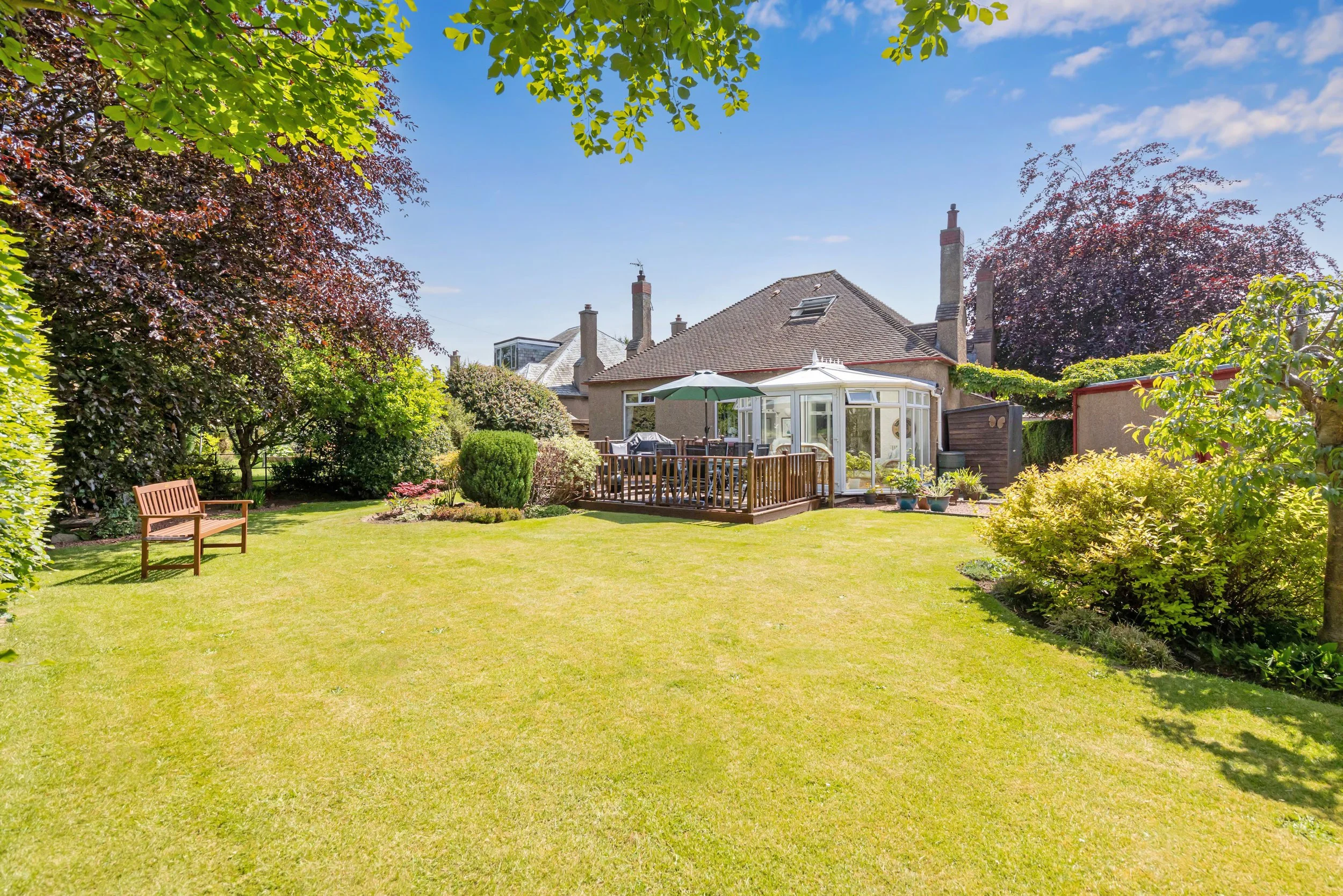 A sunny backyard with a well-kept lawn, surrounded by trees with green and purple leaves, and a house with a patio and garden.