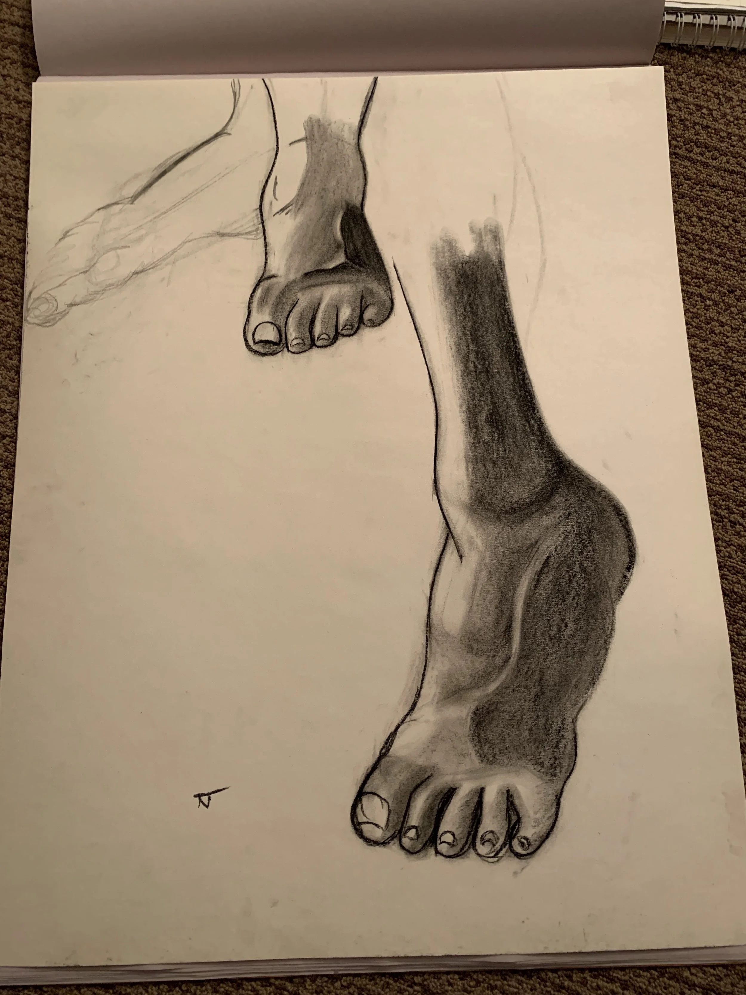 IMG_2266.jpeg