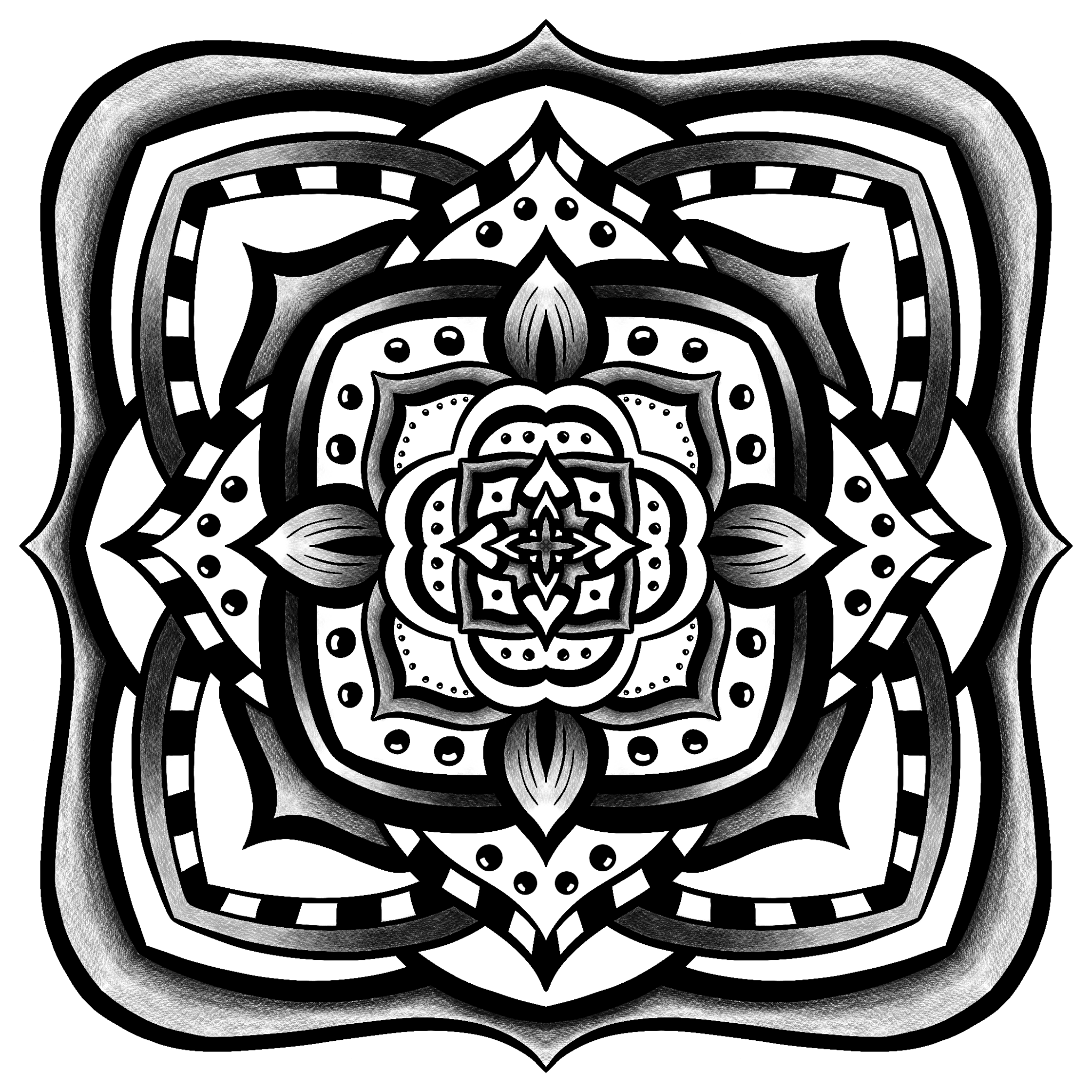 Untitled_Artwork(2).png
