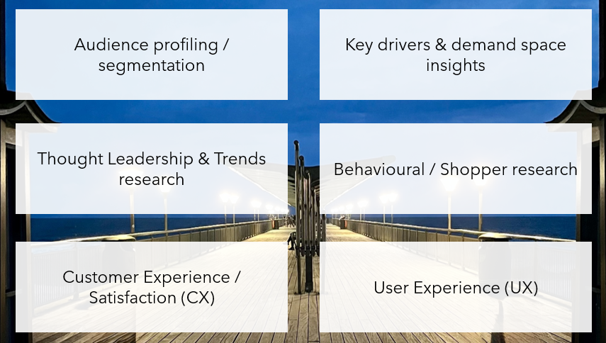 Audience Understanding Research