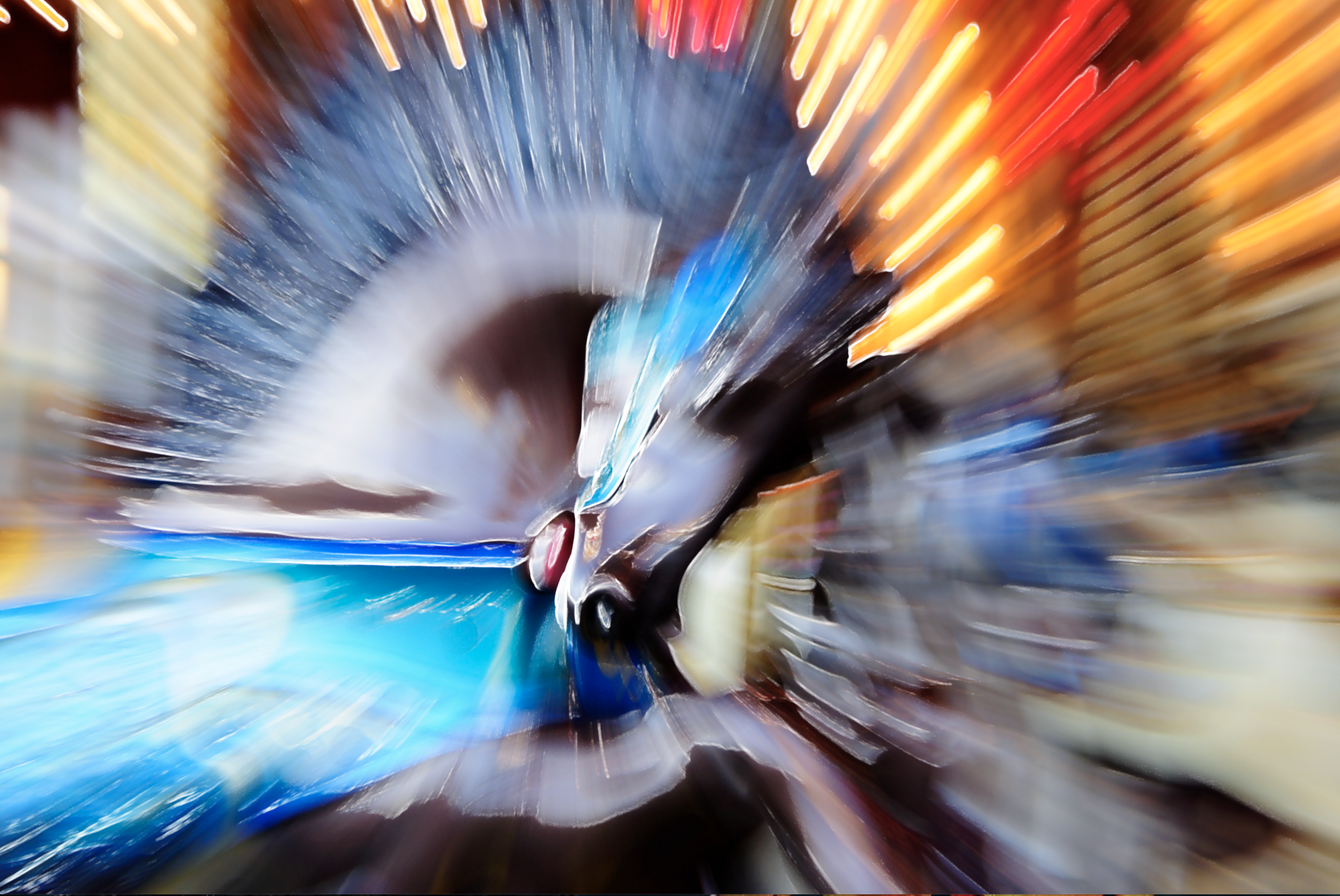 Wild Ride.png
