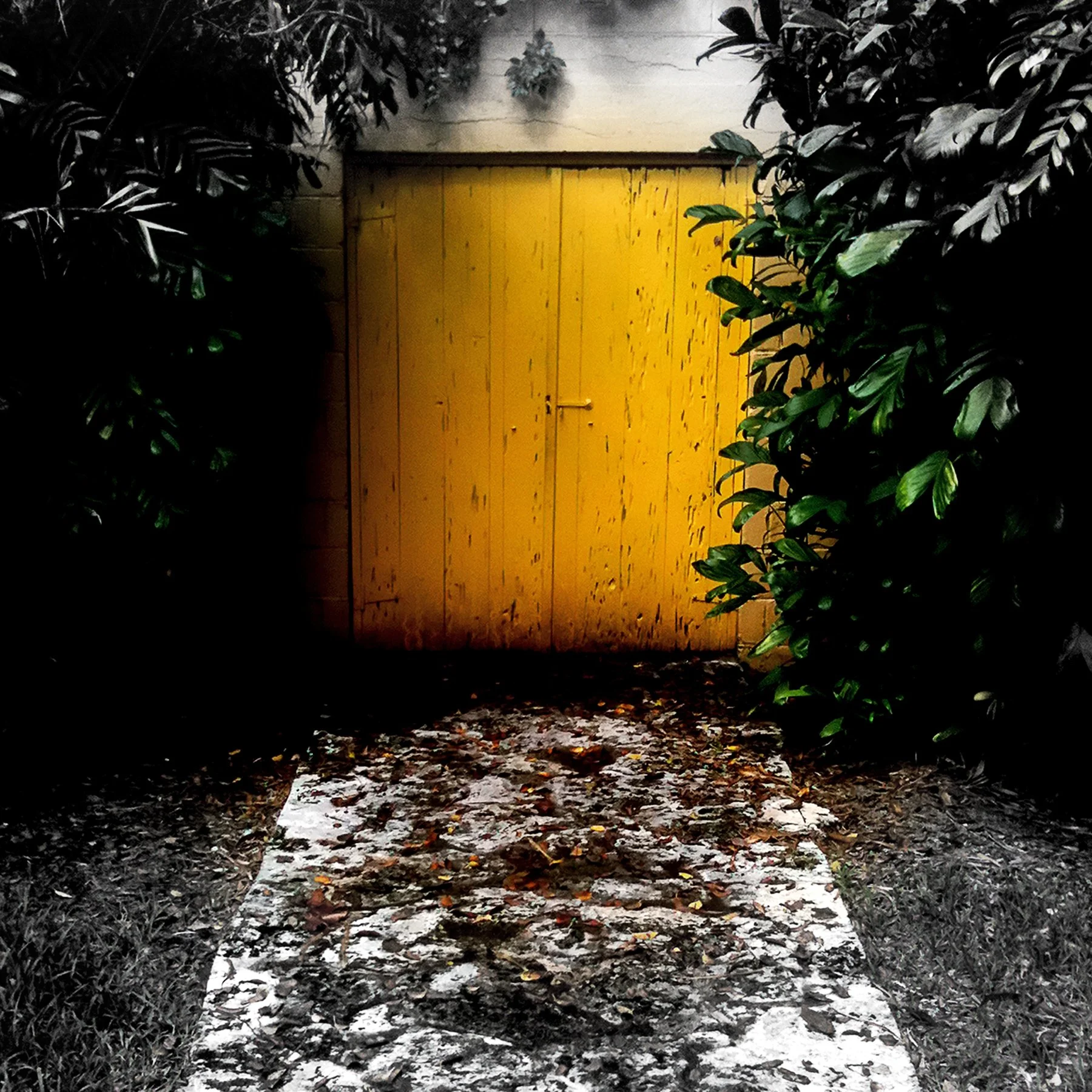 Yellow Gate at Bonnet House.jpg