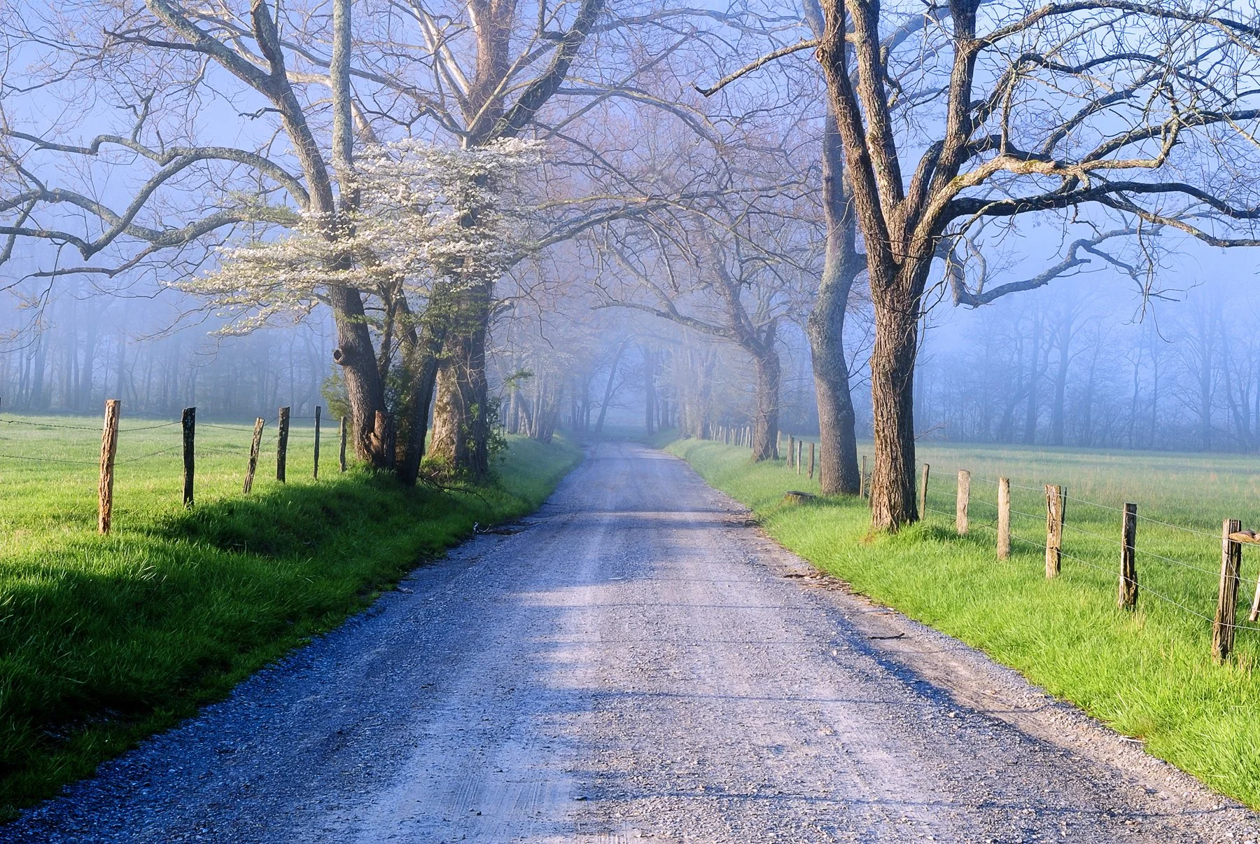 Appalachian Spring.jpg