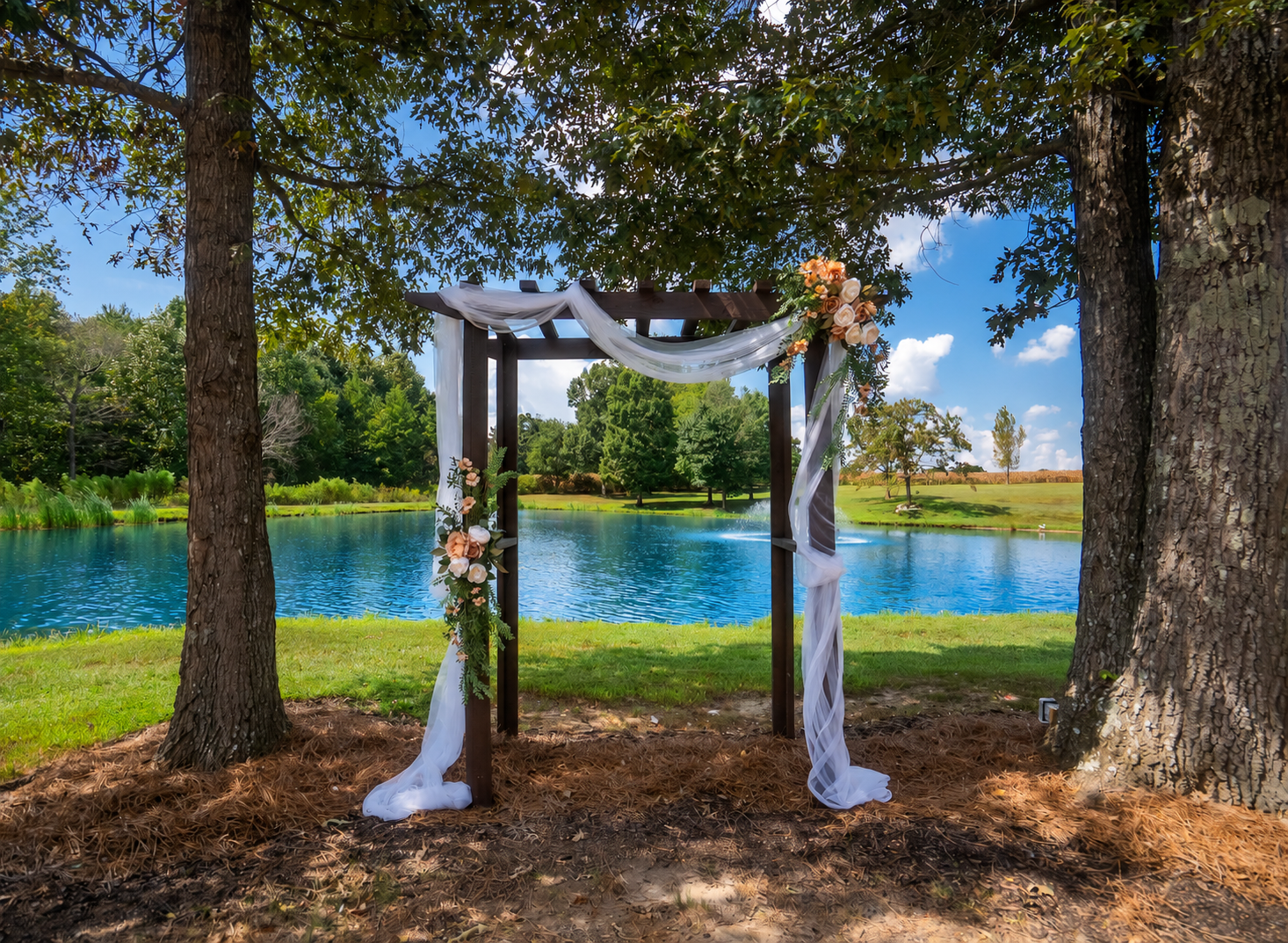 A wedding arch decorated with white tulle and peach flowers, situated between trees near a lake with green grass and trees in the background under a blue sky with clouds.