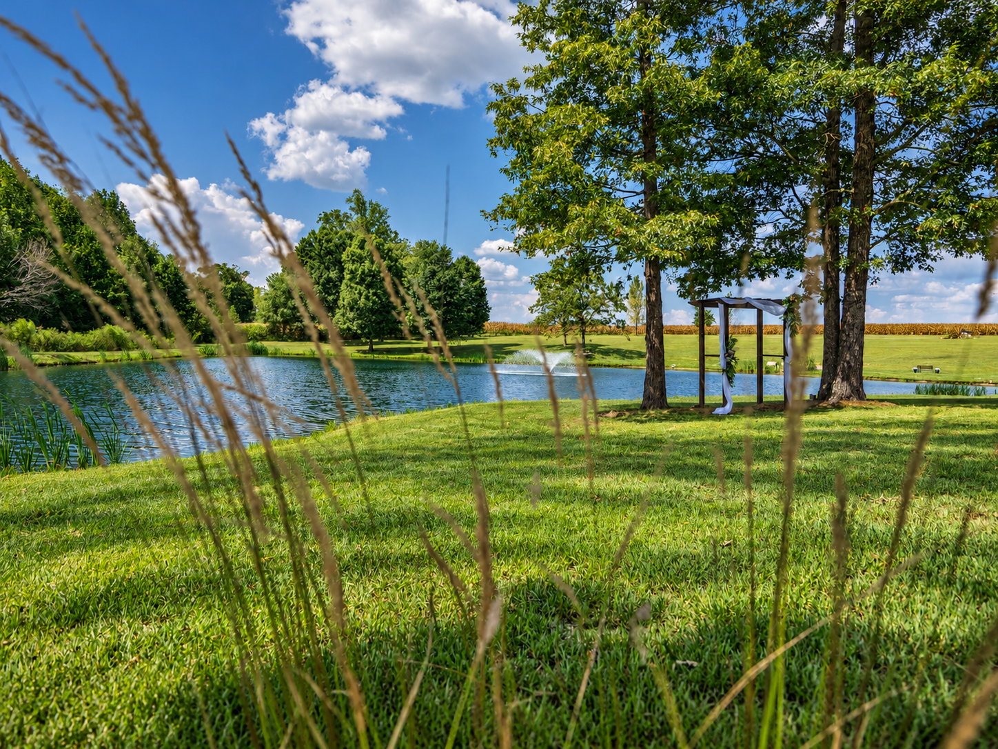 A scenic lakeside park with a grassy foreground, trees, a small wooden arbor decorated with white ribbons, and a calm lake under a blue sky with some clouds.
