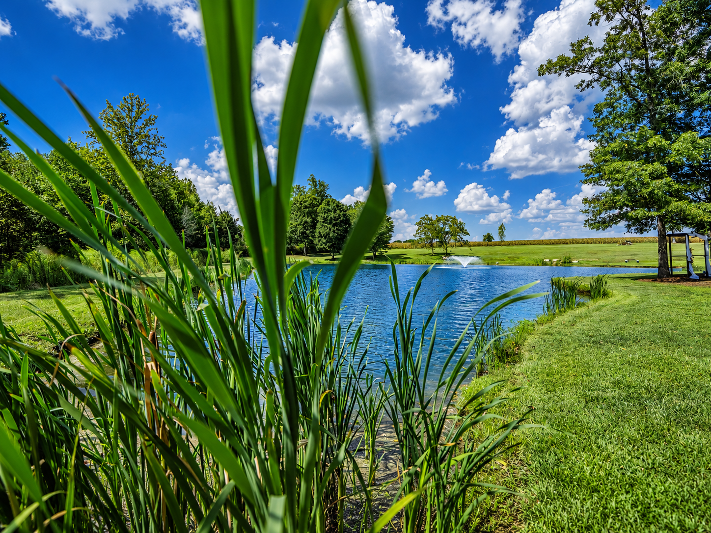 A scenic park with a pond, lush green grass, trees, and a fountain, under a clear blue sky with fluffy white clouds.