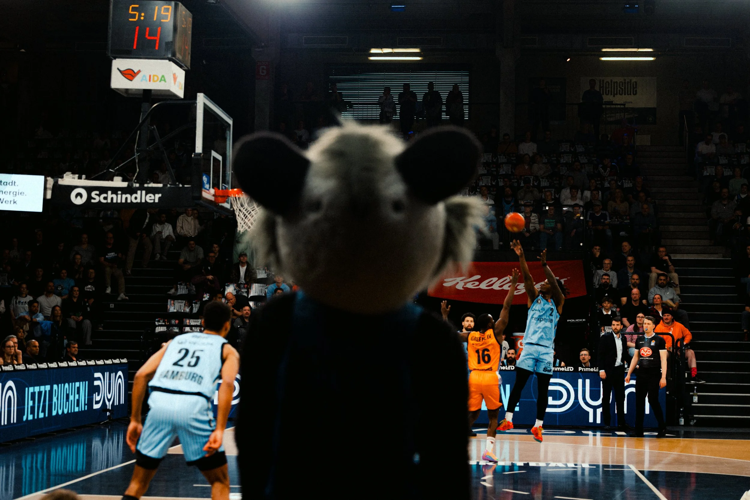 An indoor basketball game with players on the court. A dog plush toy is prominently in the foreground, closer to the camera, partially blocking the view of the game.