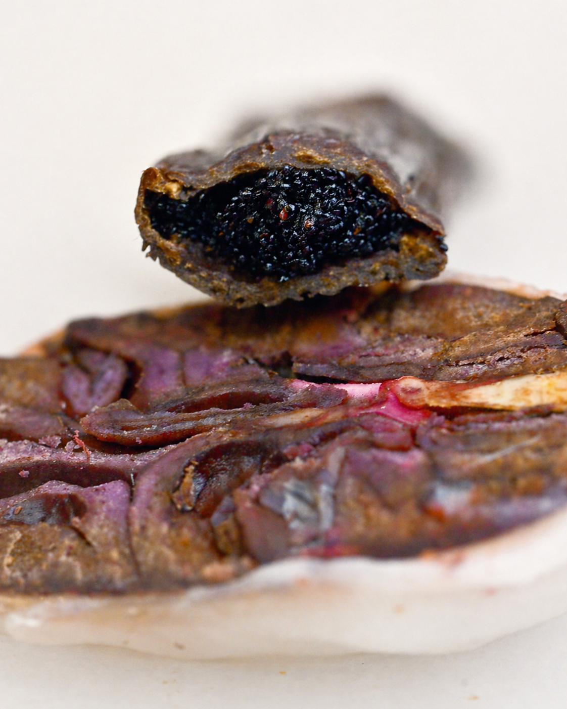 Close-up of a piece of cooked organ meat, possibly liver, with a dark, glossy interior, resting on a piece of cooked meat.
