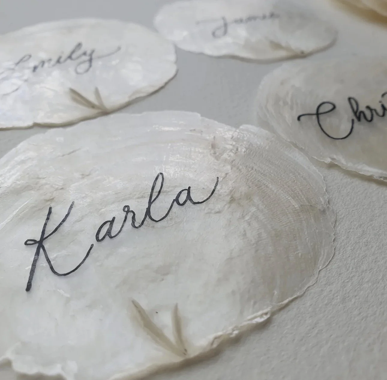 Raw Capiz Shell Place Card