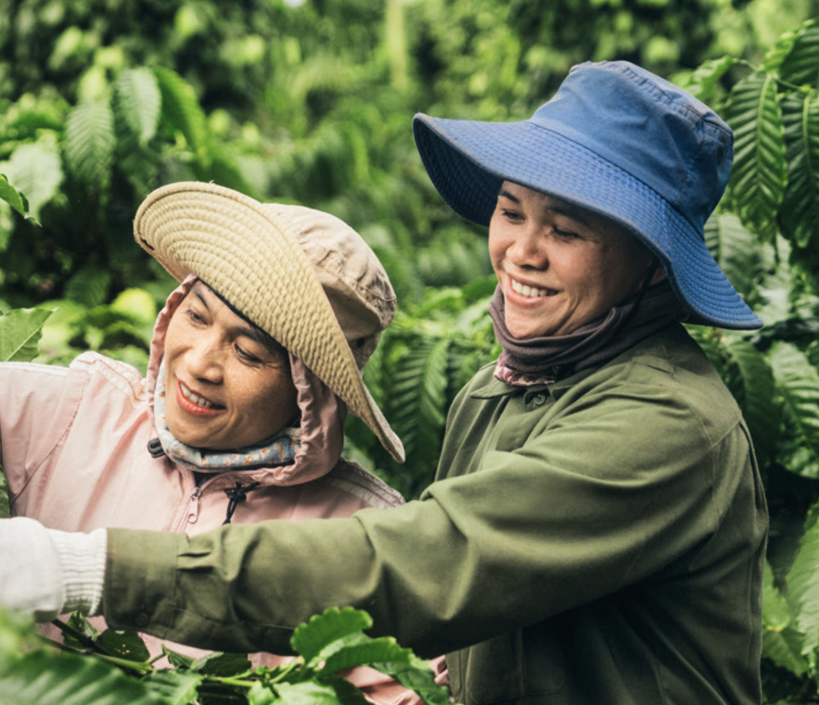 Nestle sustainability report collab