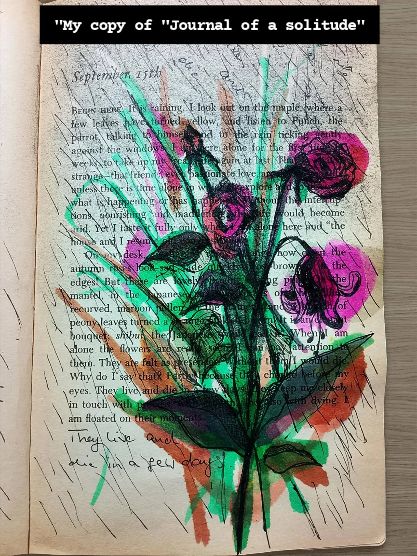 In May Sarton, I found a friend who has stayed with me through the years.

#sketchbookart 
#bookarts 
#maysarton 
#solitude